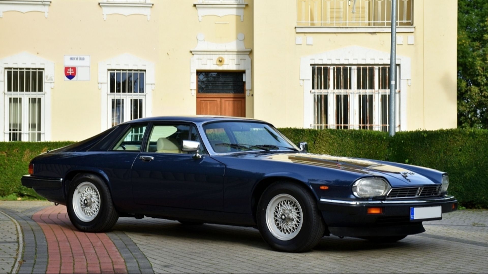 1778861785d91b7583afd61800e8db562ab64e04e54c5277ae.jpg