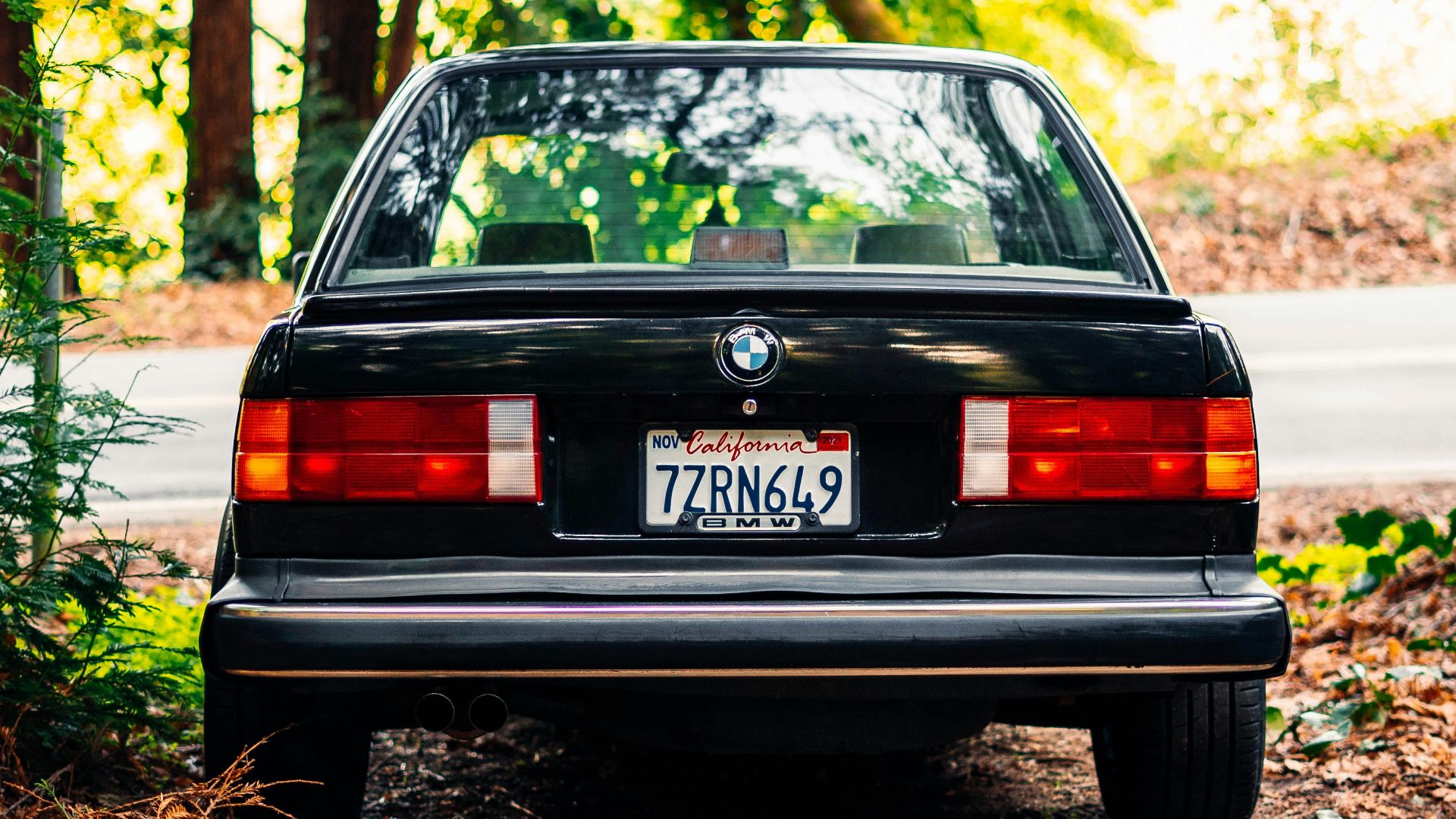 177887819384ae7e72b40a9745c57d5b4e8b9f7697483ace36.jpg