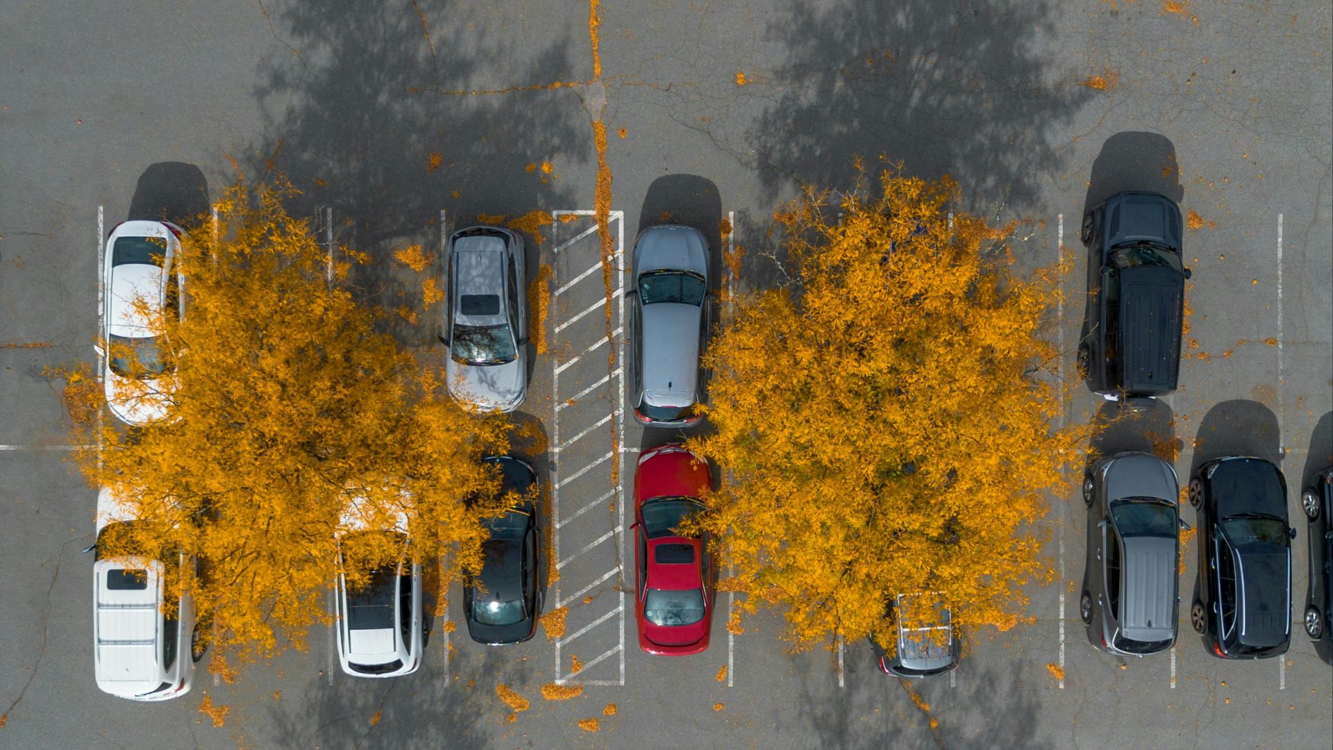 17827525816d6a129e5d063578e61417851c529cc30558ddc3.jpg