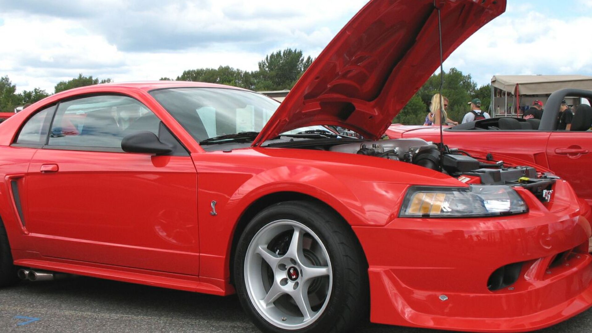 178423116574cb22719ae829dbb452c9b15ec5145f3a1abf71.jpg