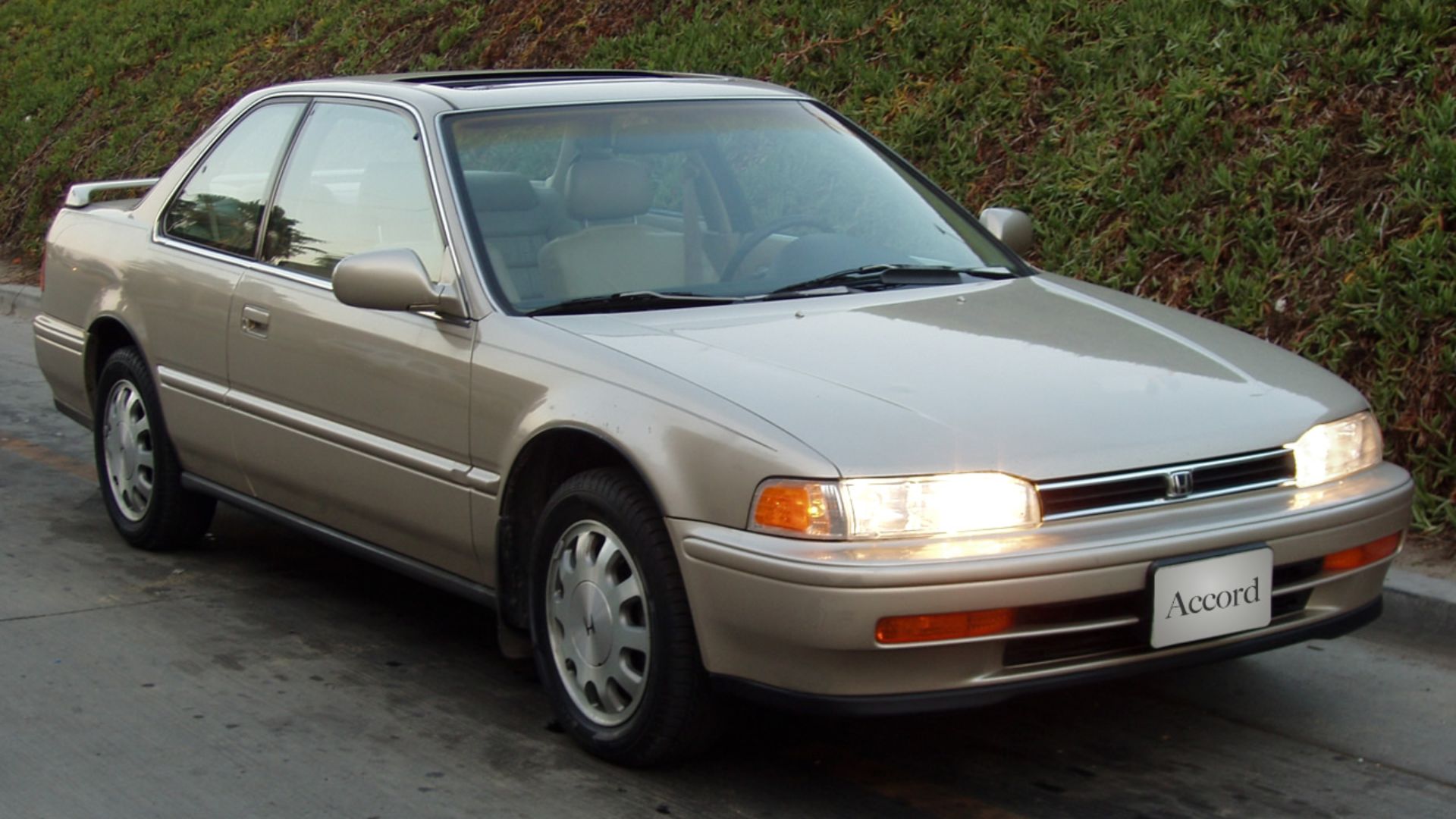 17854071194c1b9d4d650e76b69499892bea4a762b525ebed9.jpg