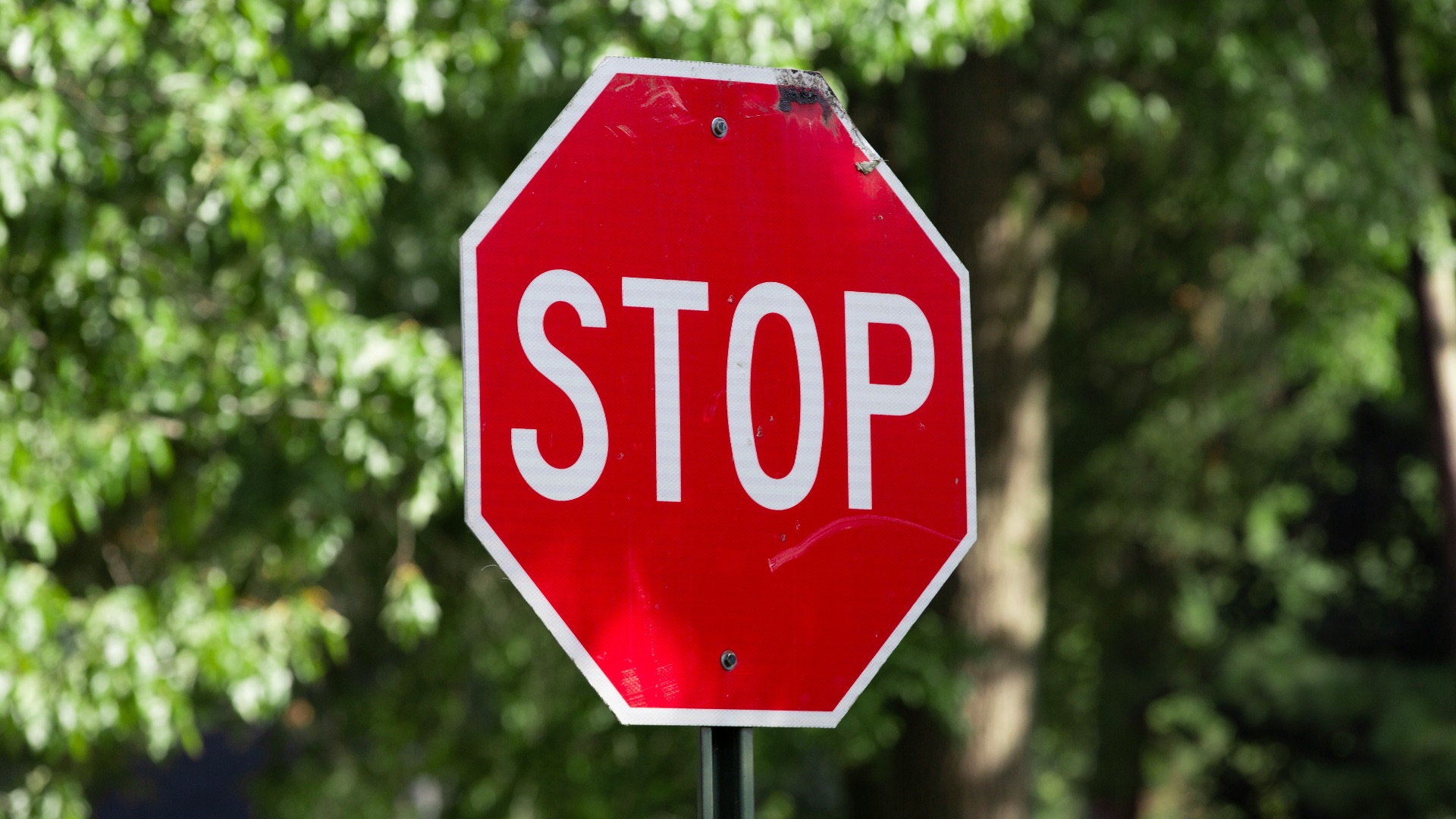 17900166218261bb639db020df9fba4ed466c863ffe5fbdbdd.jpg