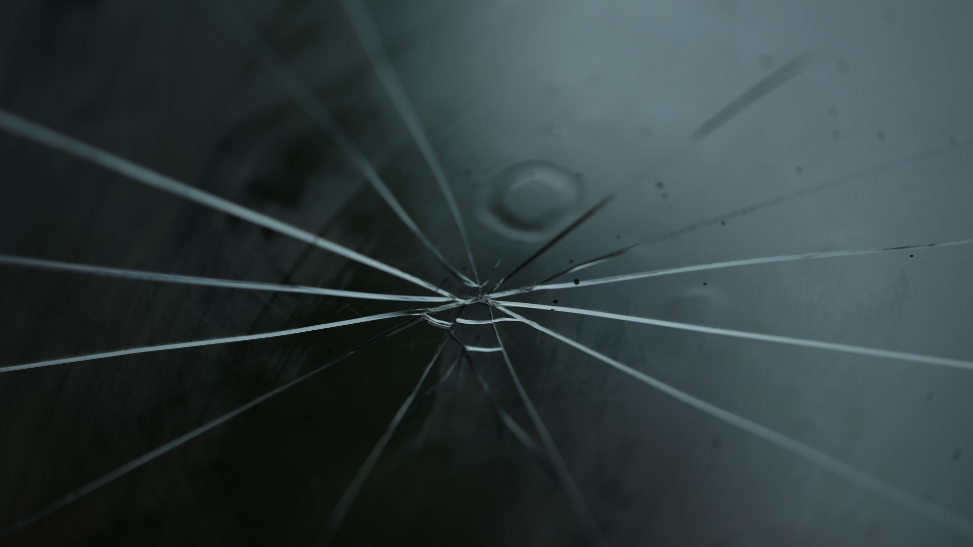 1788978621b1ffbb70635da9ae8ed50c18a2fa1e0251943c83.jpeg