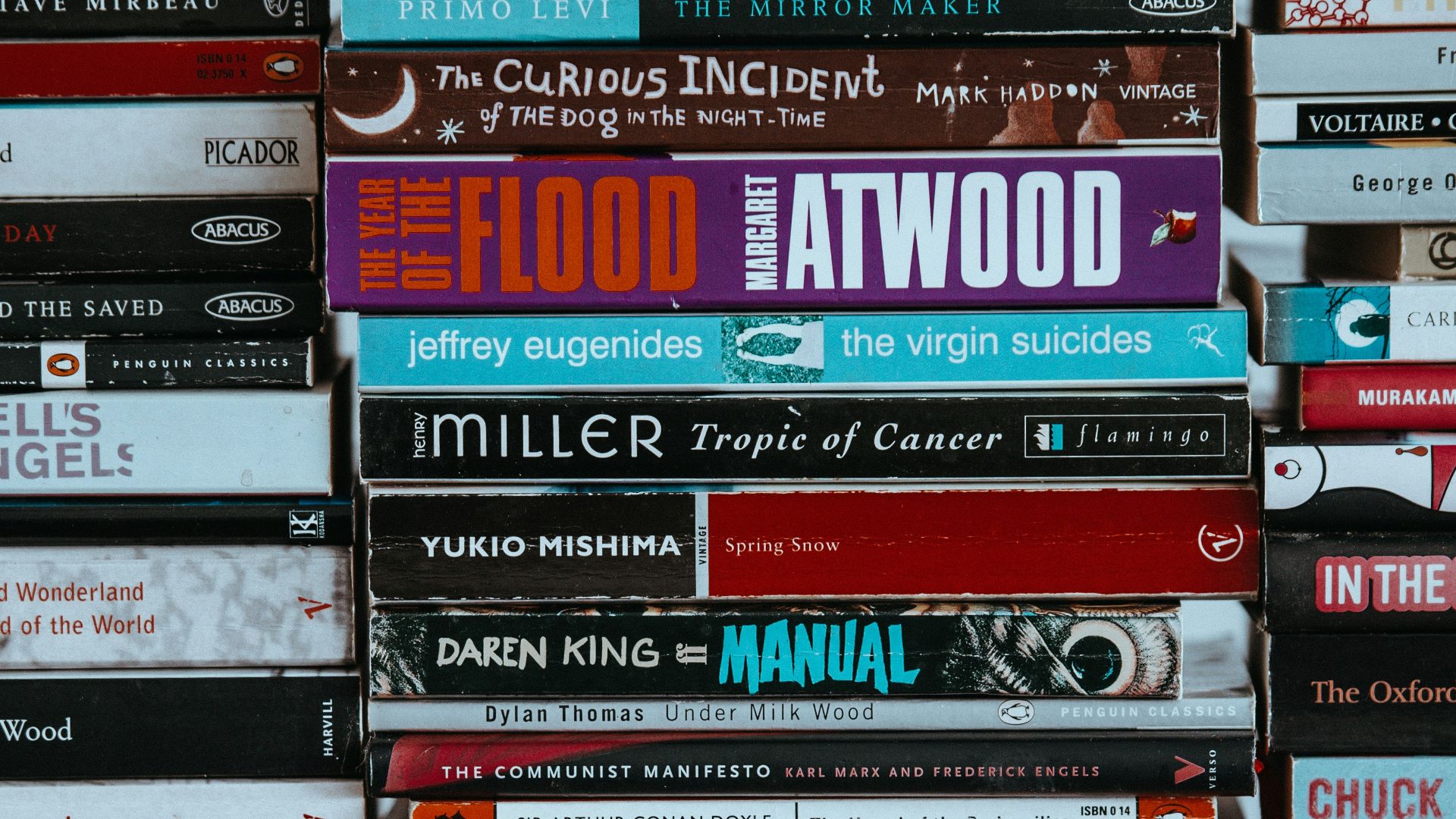 assorted-titled book lot