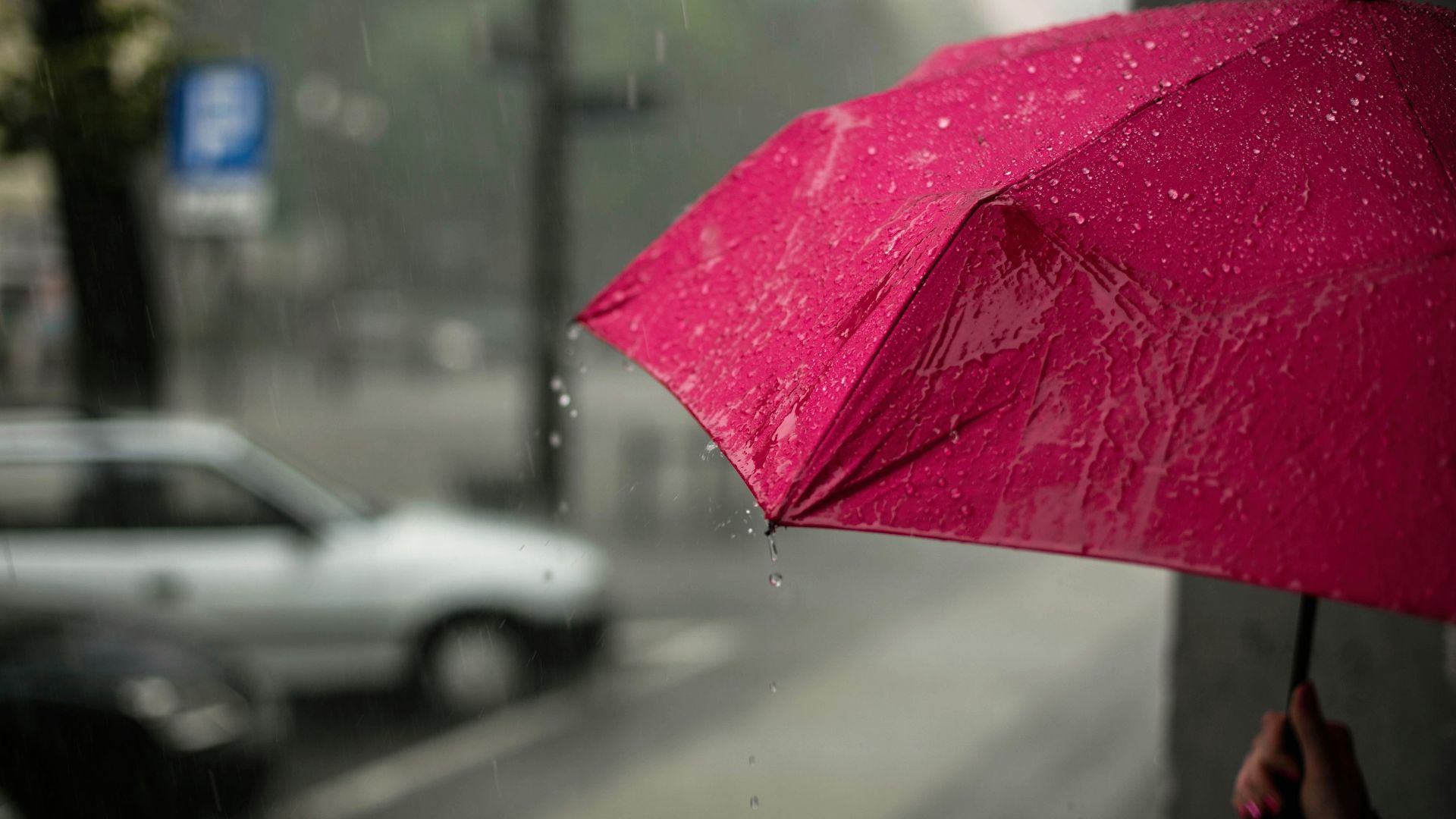 pink umbrella