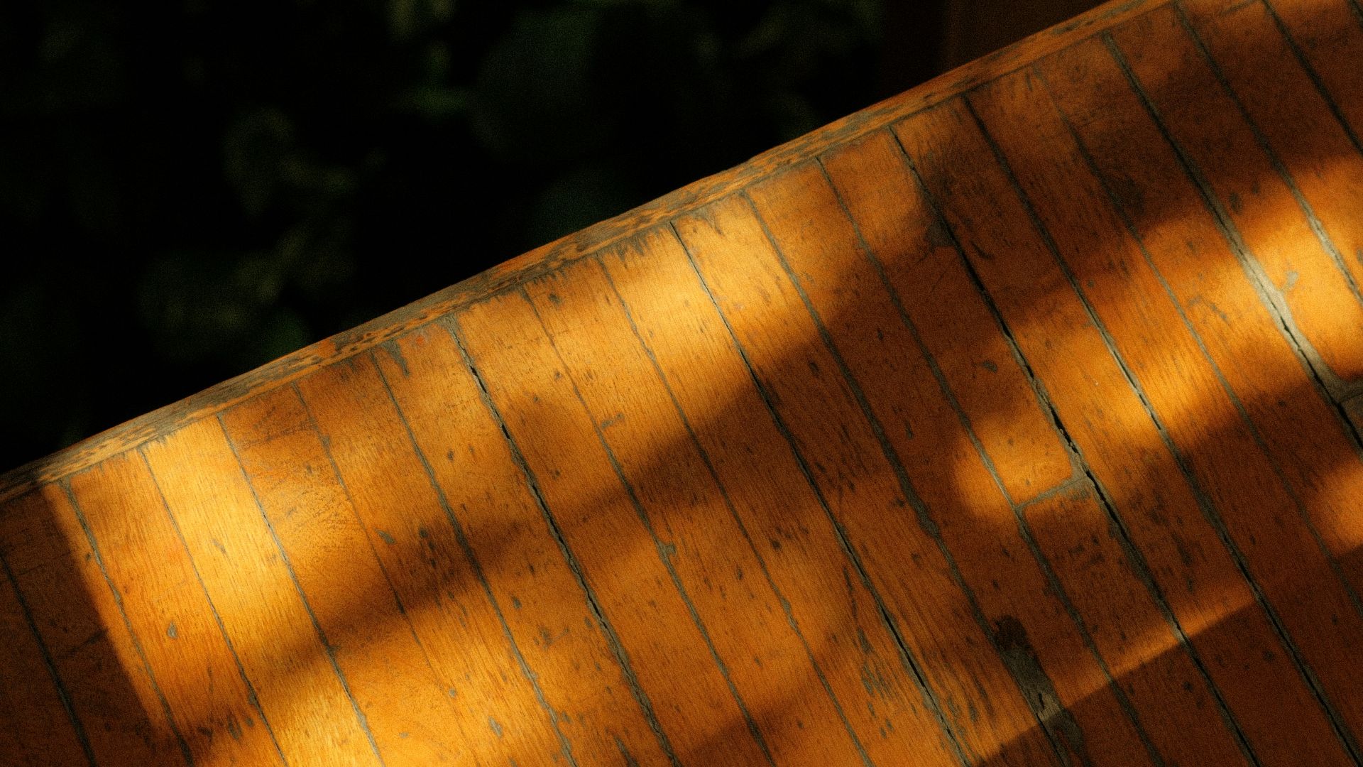 Sunlight casts shadows on a wooden surface.
