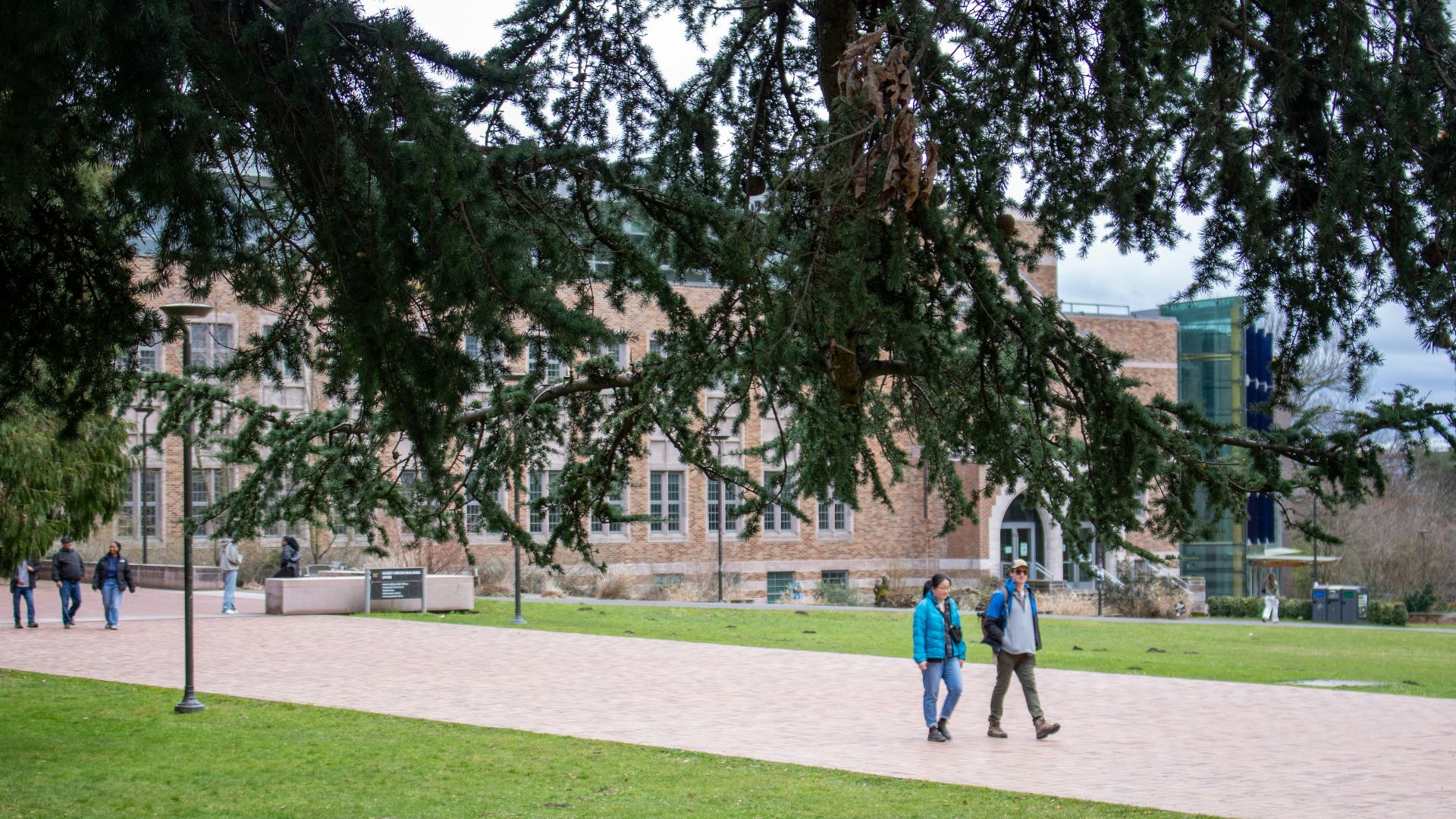 Students walk by a campus building under a tree.