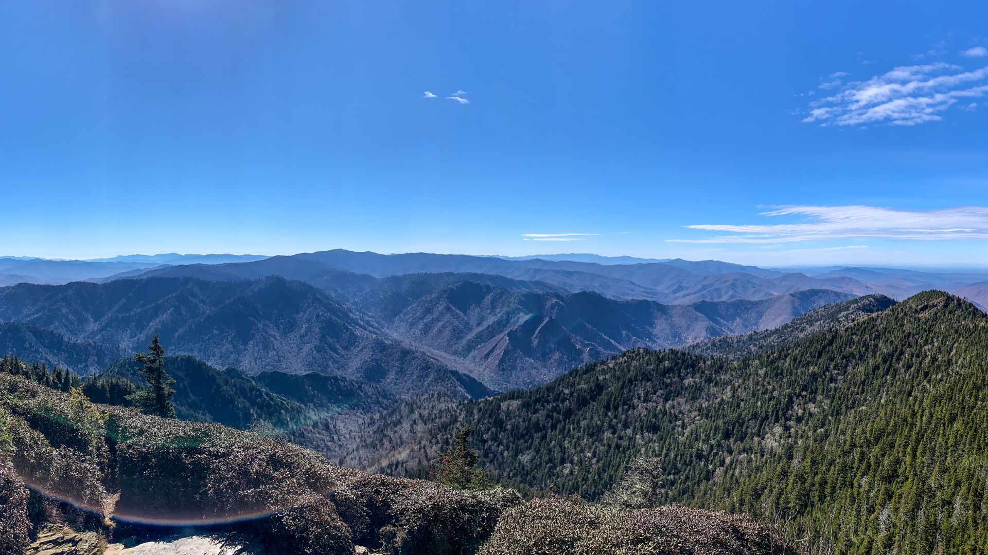 File:View atop Cliff Tops on Mount LeConte, GSMNP, TN.jpg