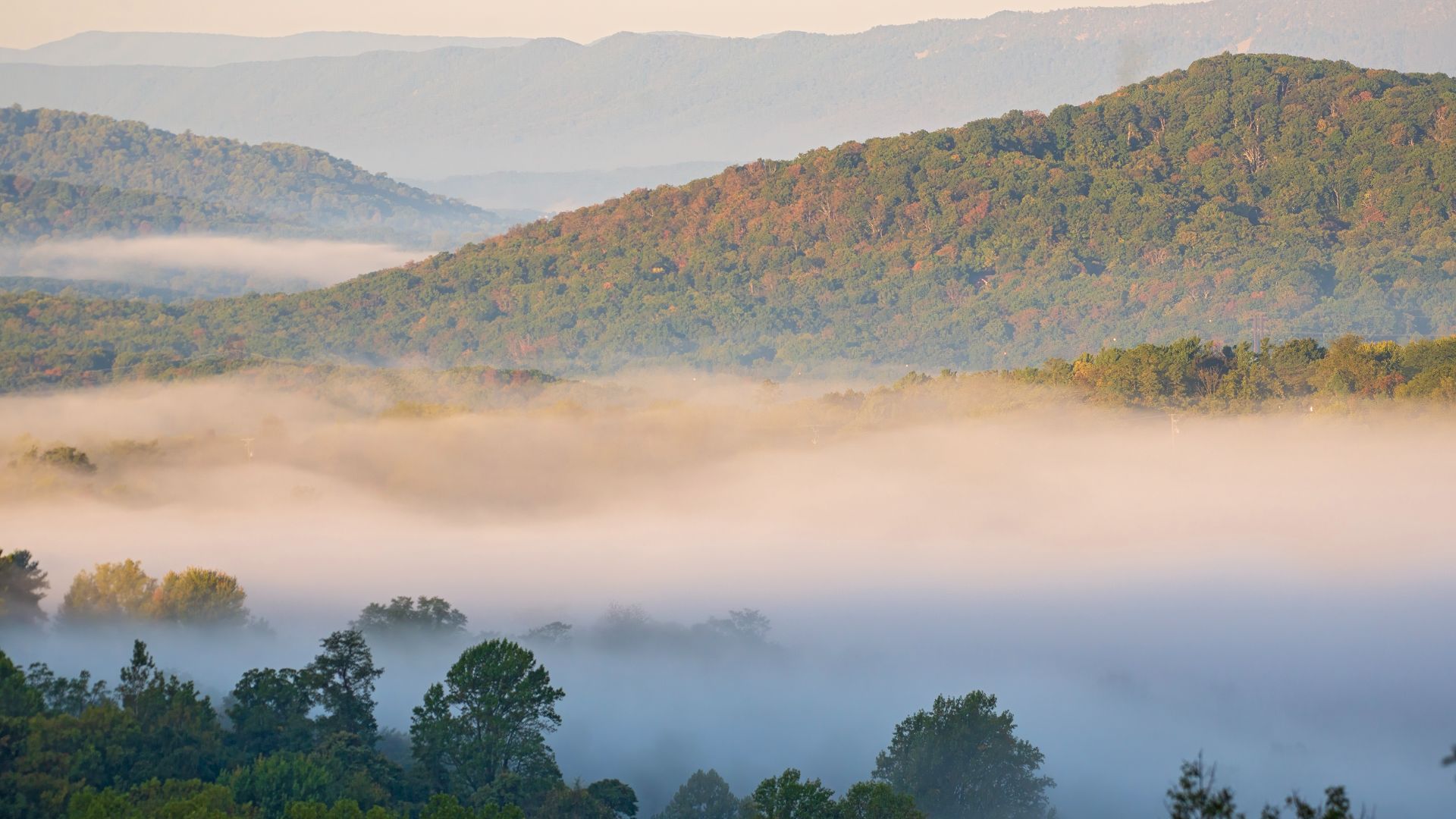 File:Shenandoah National Park - Front Royal, VA.jpg