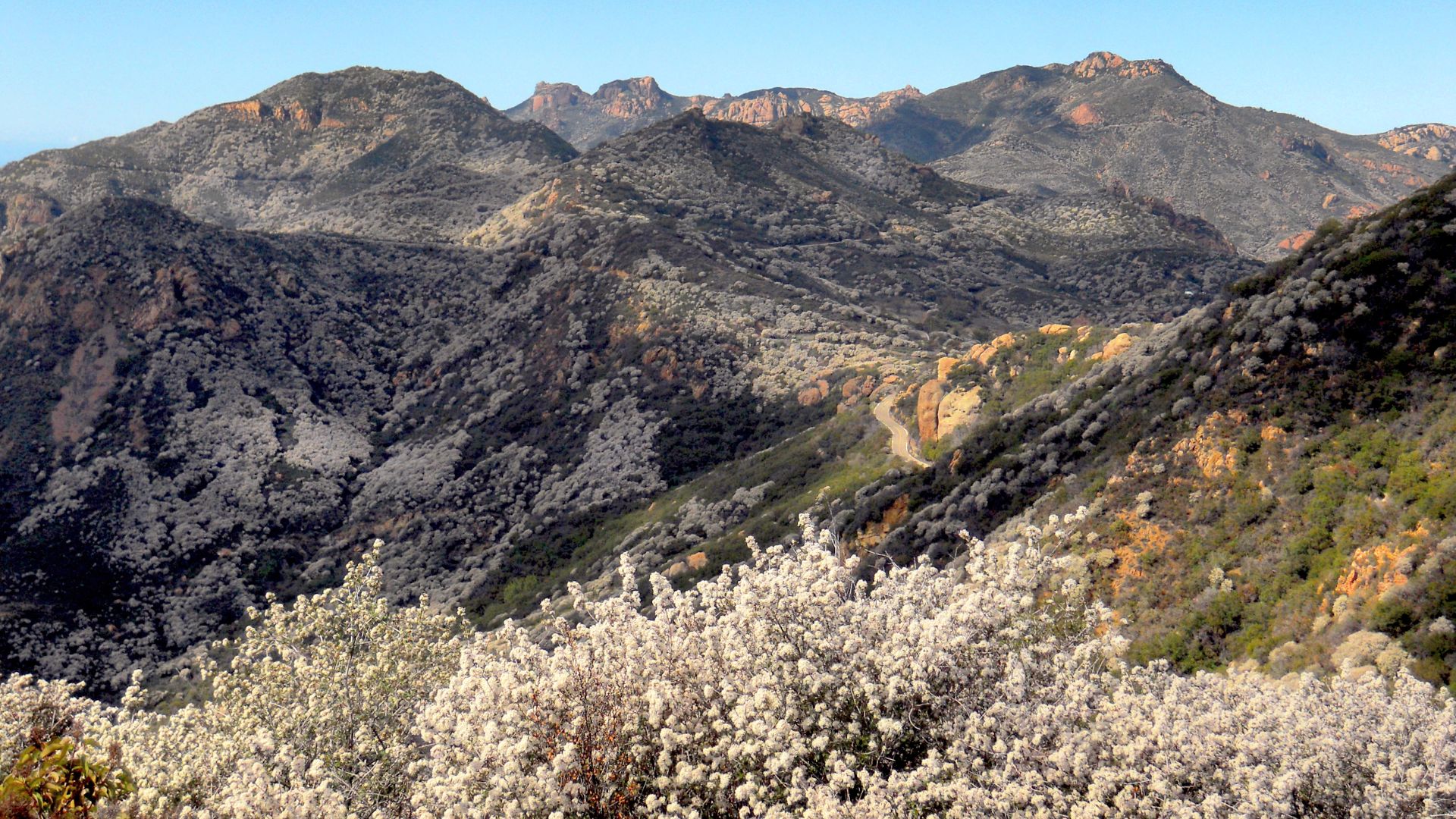 File:Santa Monica Mountains National Recreation Area (b71d1561-df6c-4345-8dd2-169caec05487).jpg