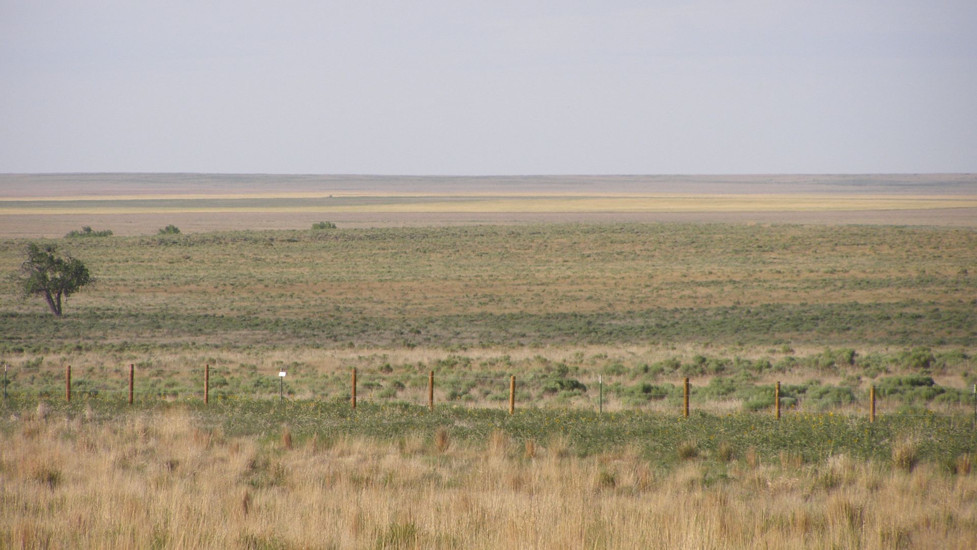 File:Great Plains P5310707.JPG