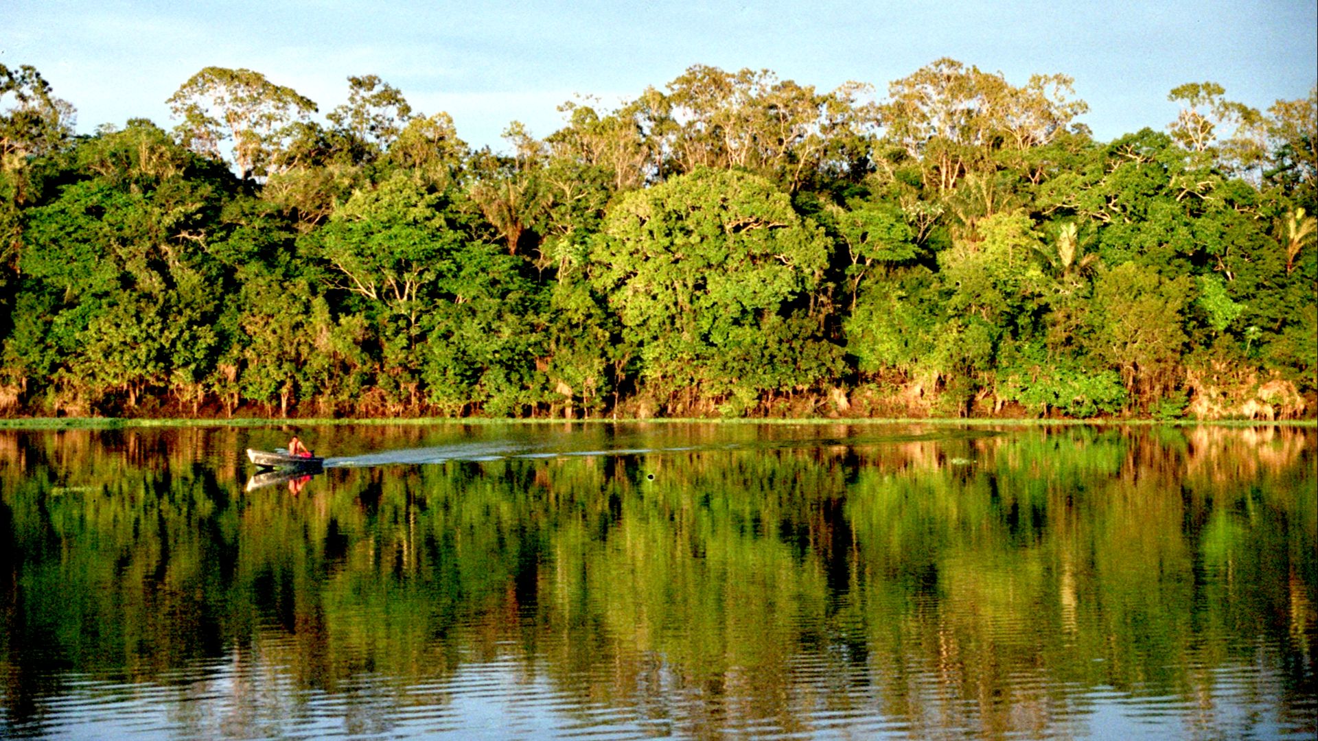 File:Amazonia.jpg