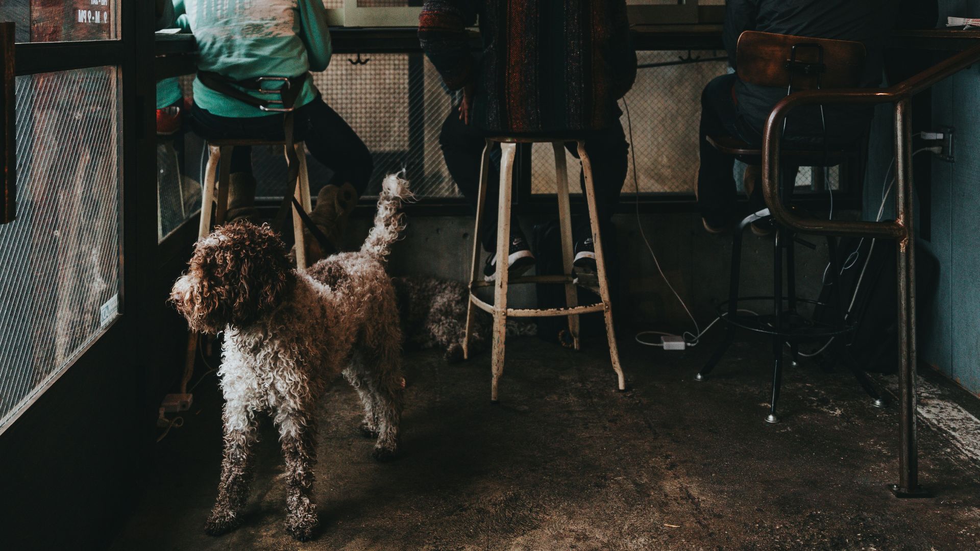 three person sitting on brown wooden bar stools near table