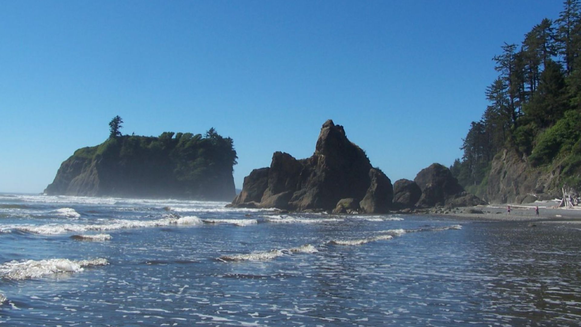 File:Olympic National Park coastline.jpg
