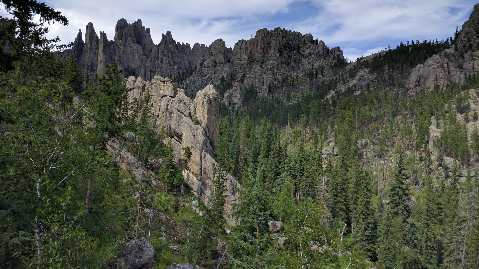 File:Needles Highway 05.jpg