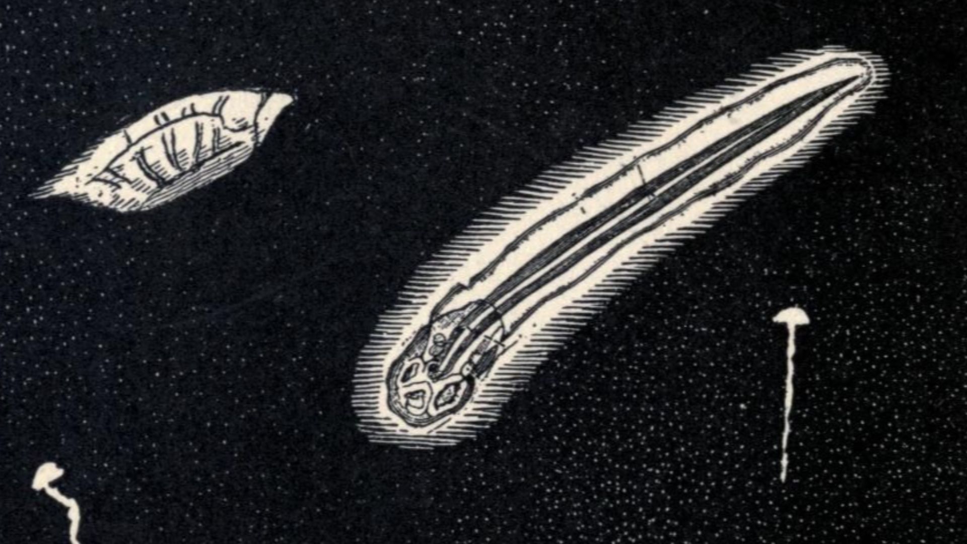 File:Living lights (Plate XVI) (7582787656).jpg