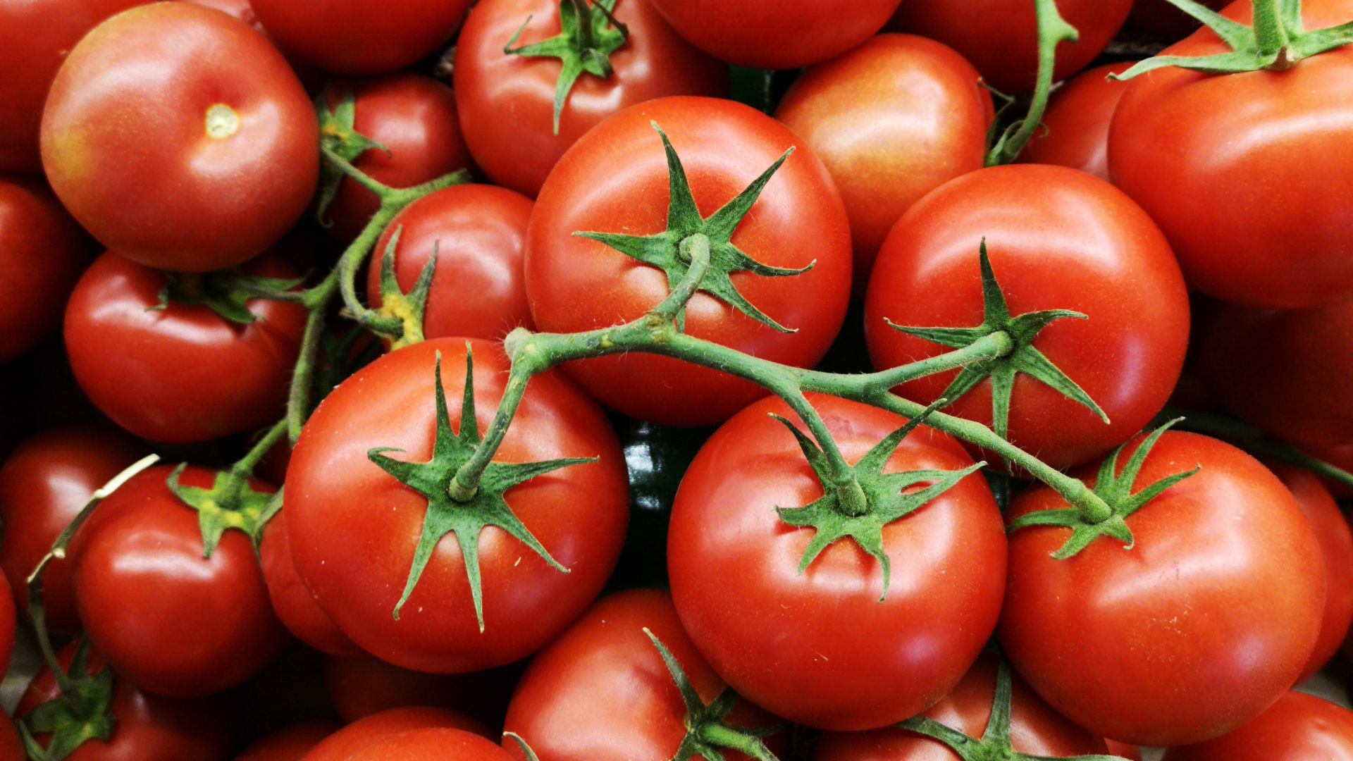 red tomatoes on brown wooden table