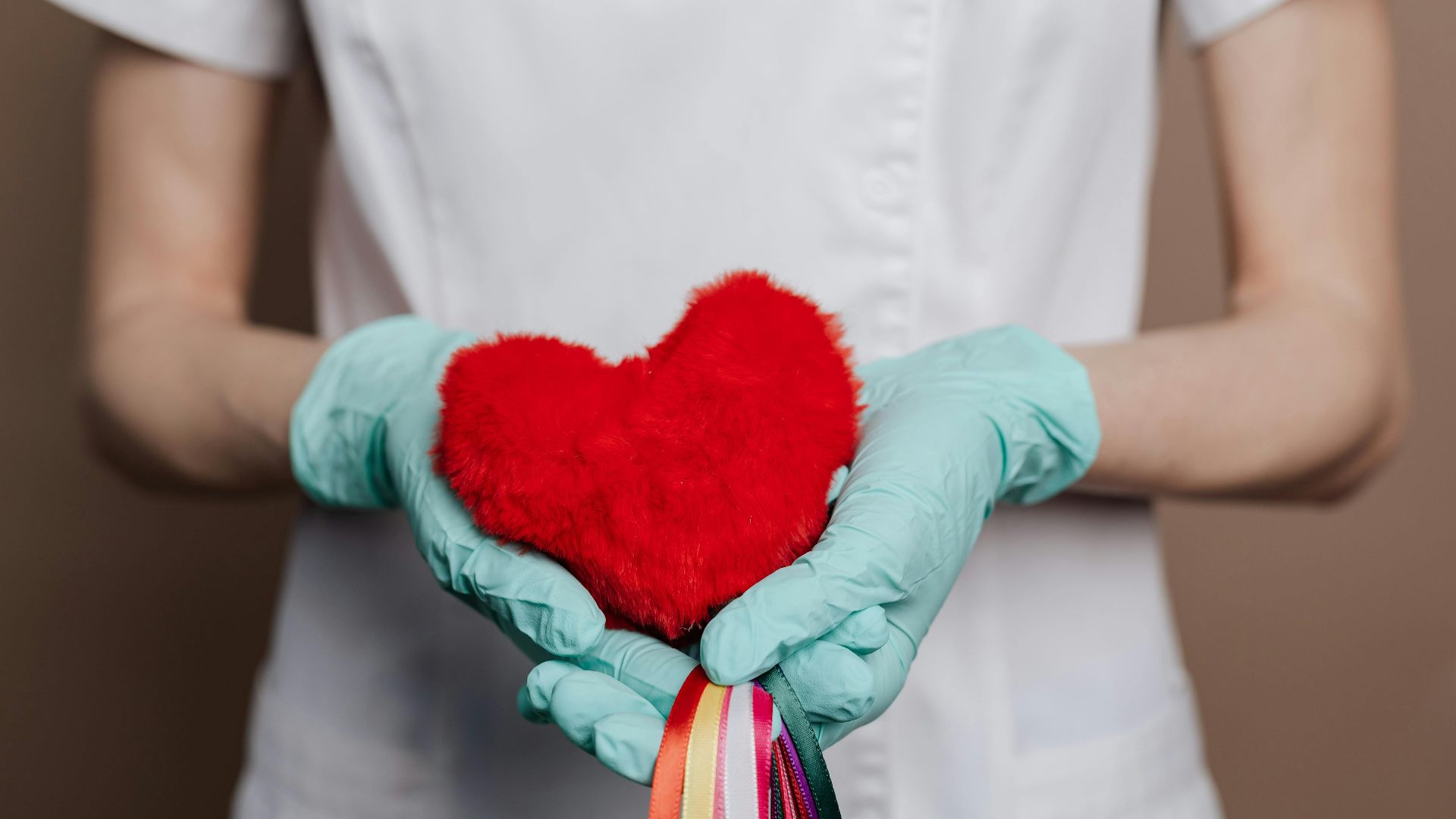 Photo By: Kaboompics.com