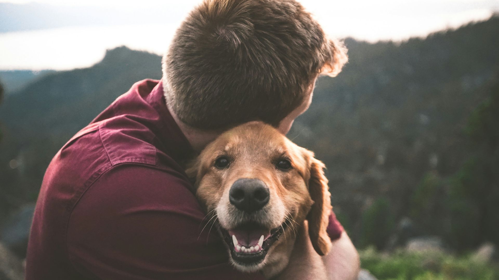 photo of man hugging tan dog