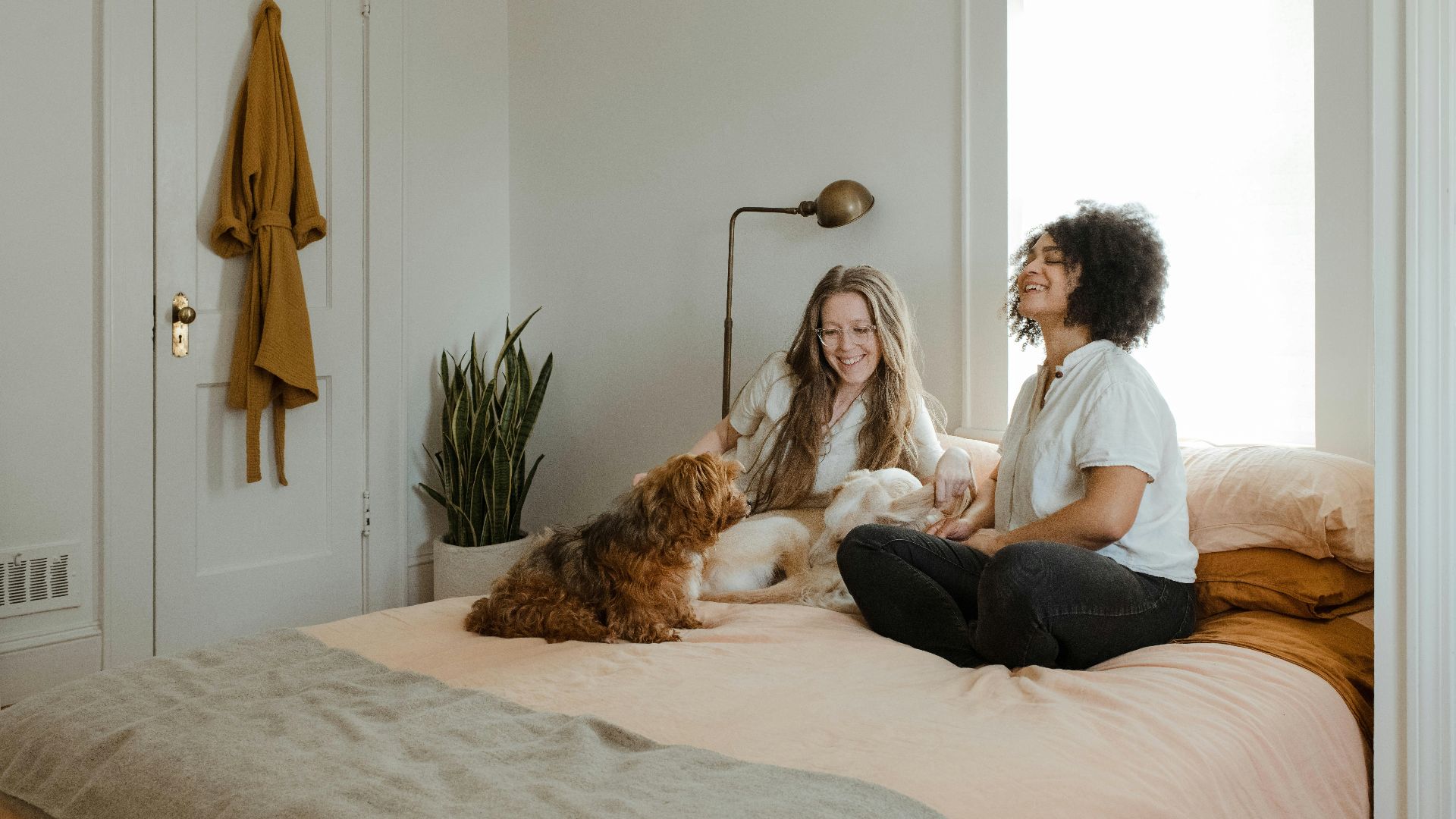 woman in white long sleeve shirt sitting on bed beside brown dog