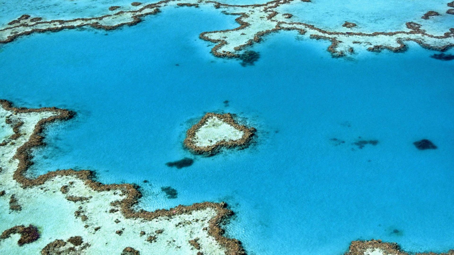 aerial photography of seawater