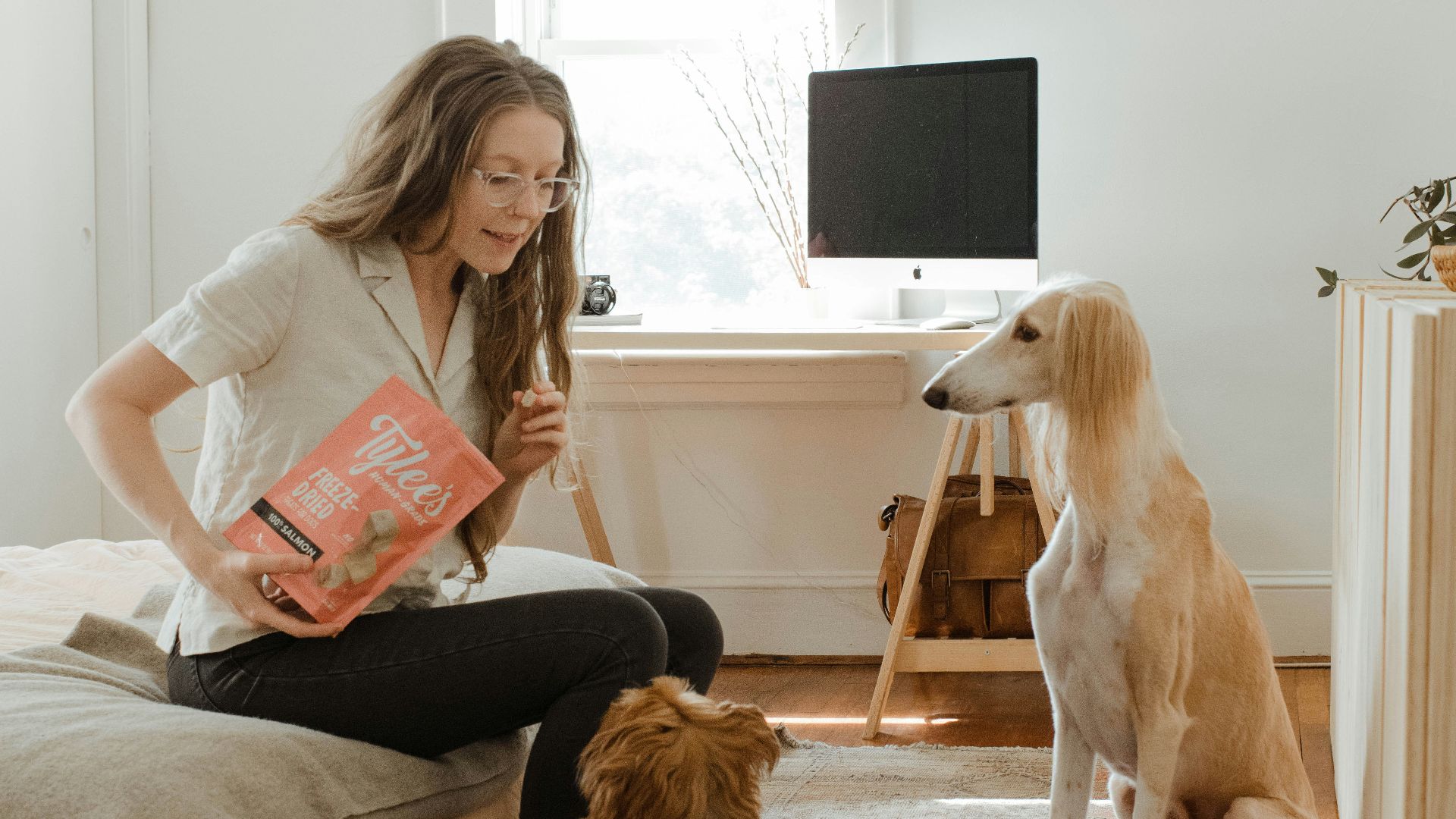 woman in gray shirt sitting on brown couch beside brown long coated dog
