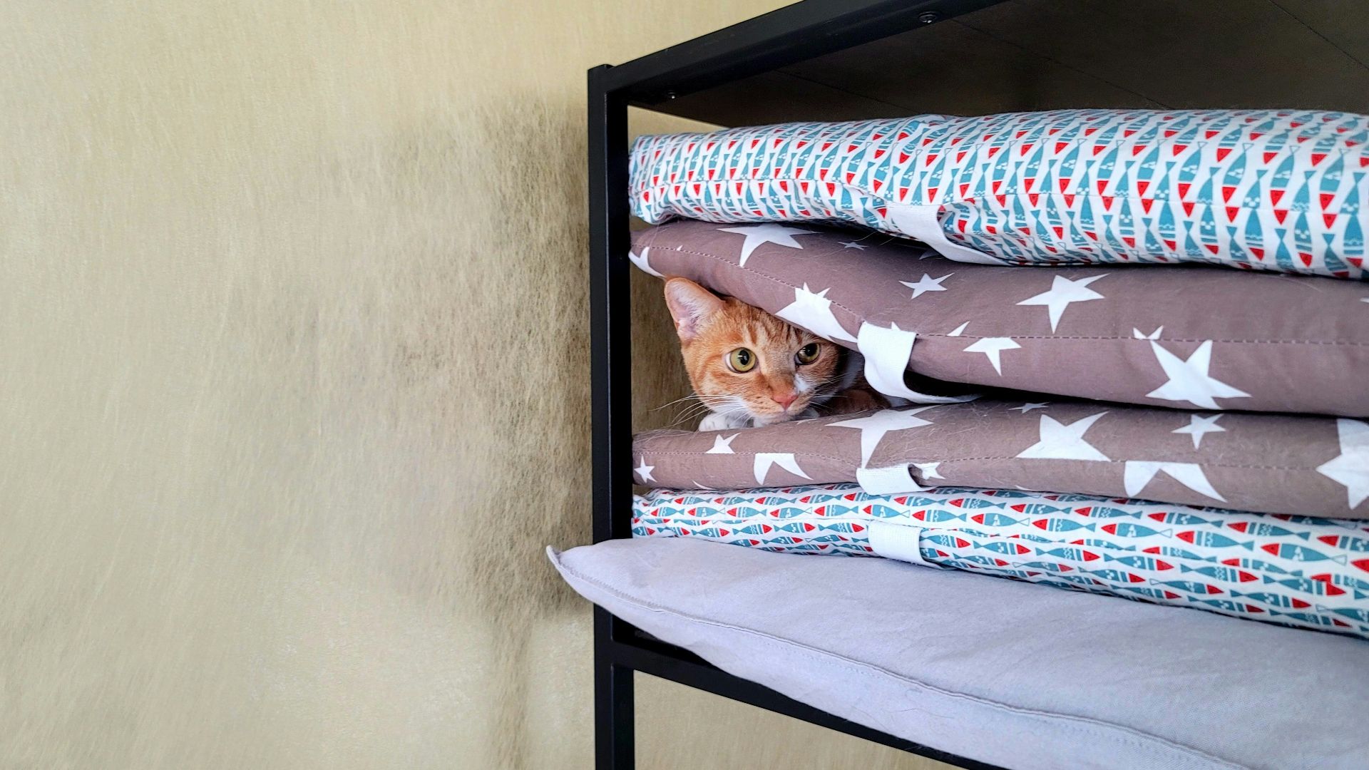 a cat peeking out from behind a stack of pillows