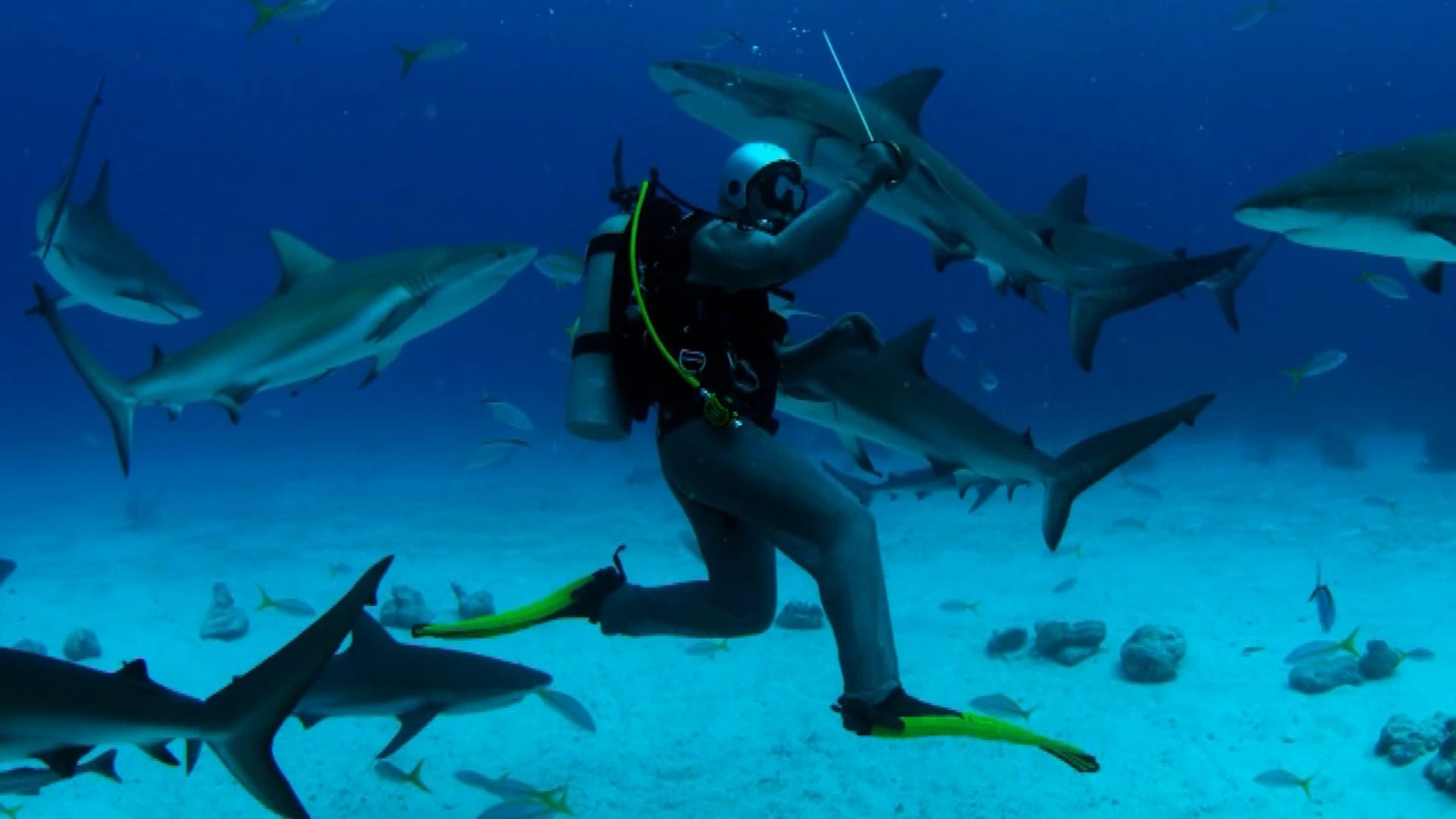 a scuba diver surrounded by sharks in the ocean