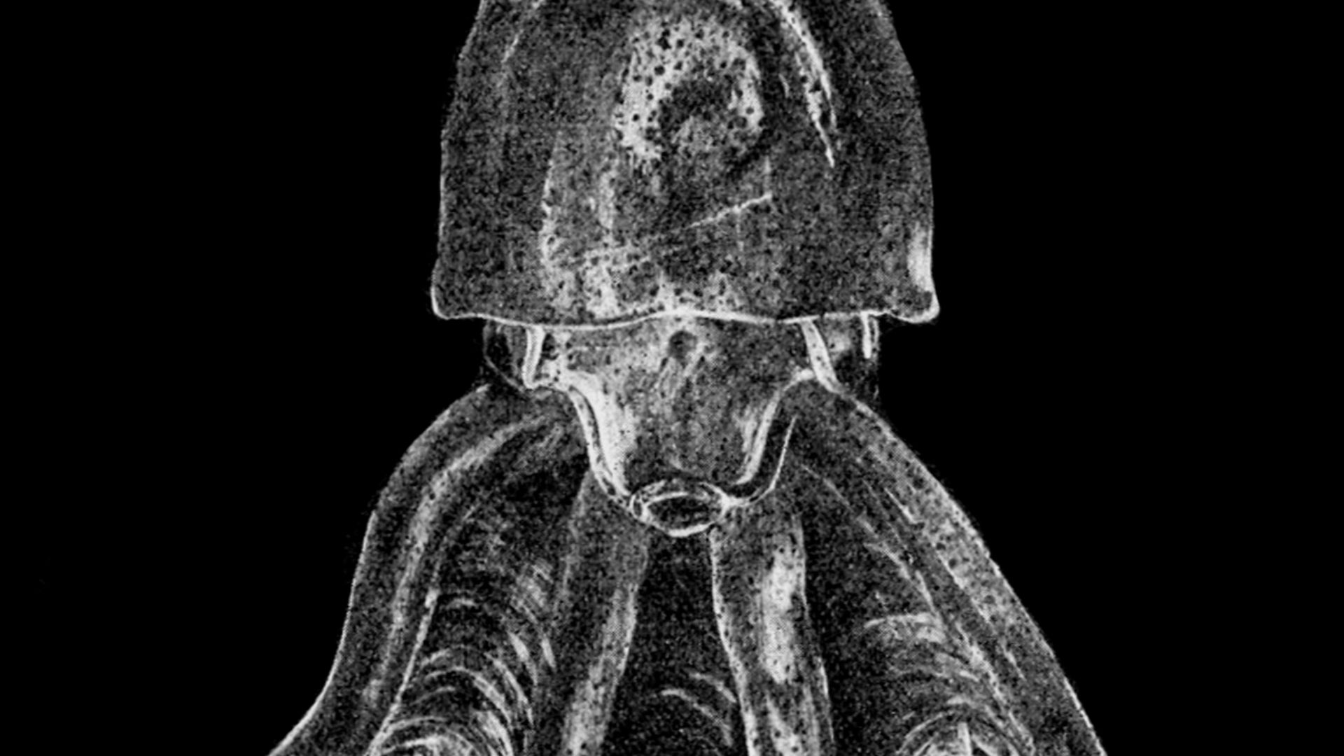 File:Vitreledonella richardi.jpg