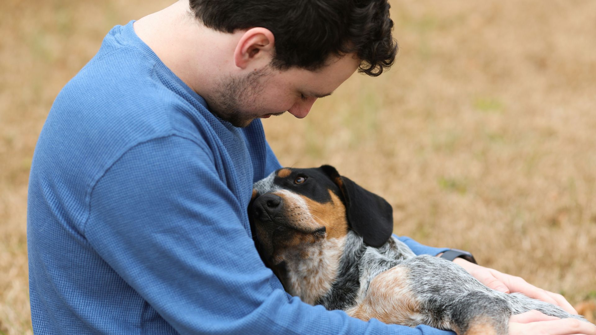 man in blue shirt hugging black and white short coated dog