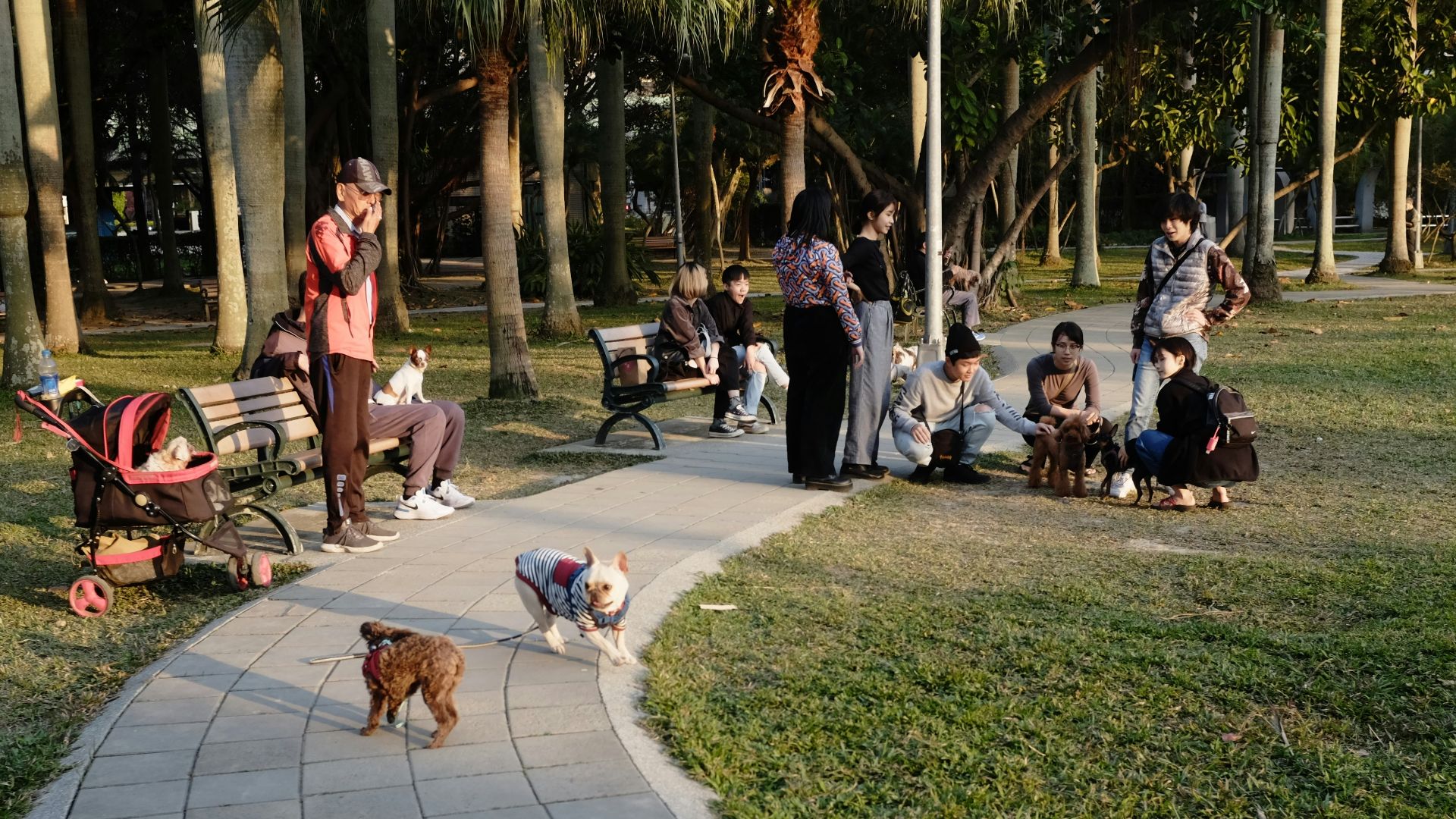 people sitting on green grass field during daytime