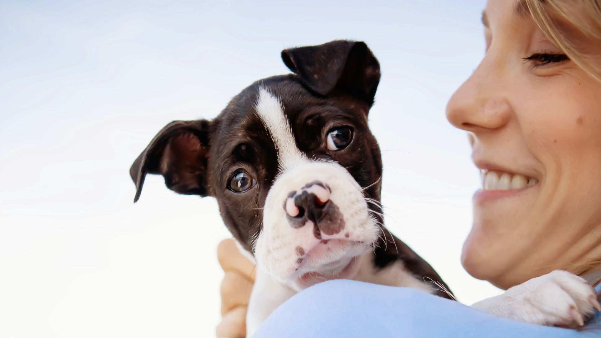 Woman happily holds a cute puppy.