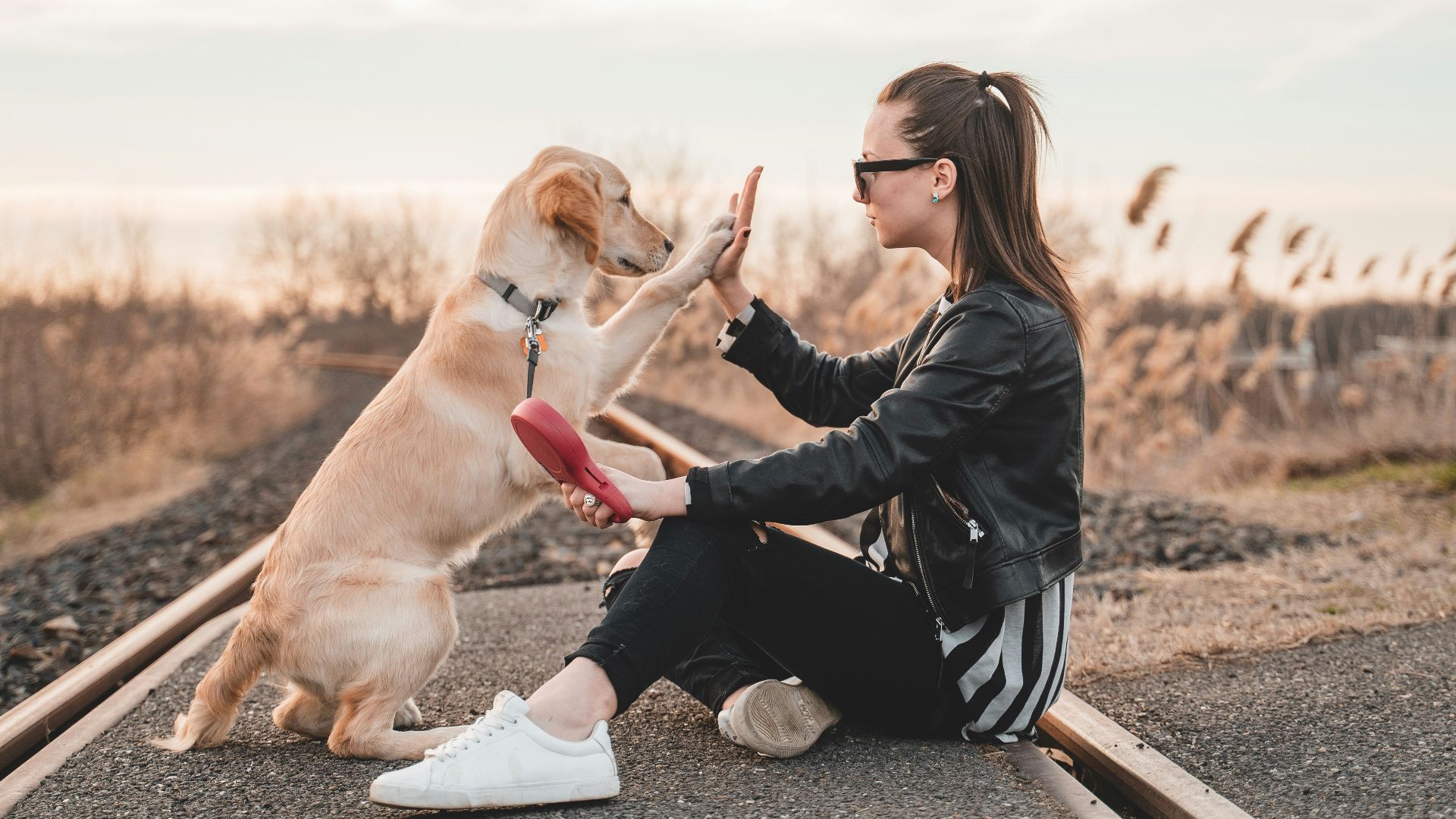 woman sitting and playing with dog outdoors