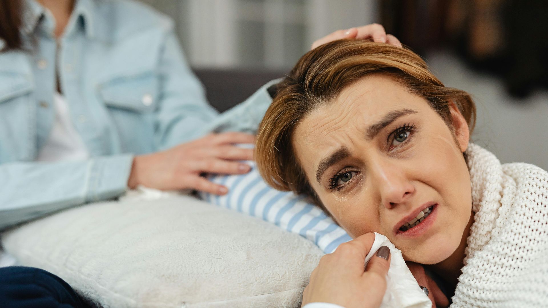 Photo By: Kaboompics.com