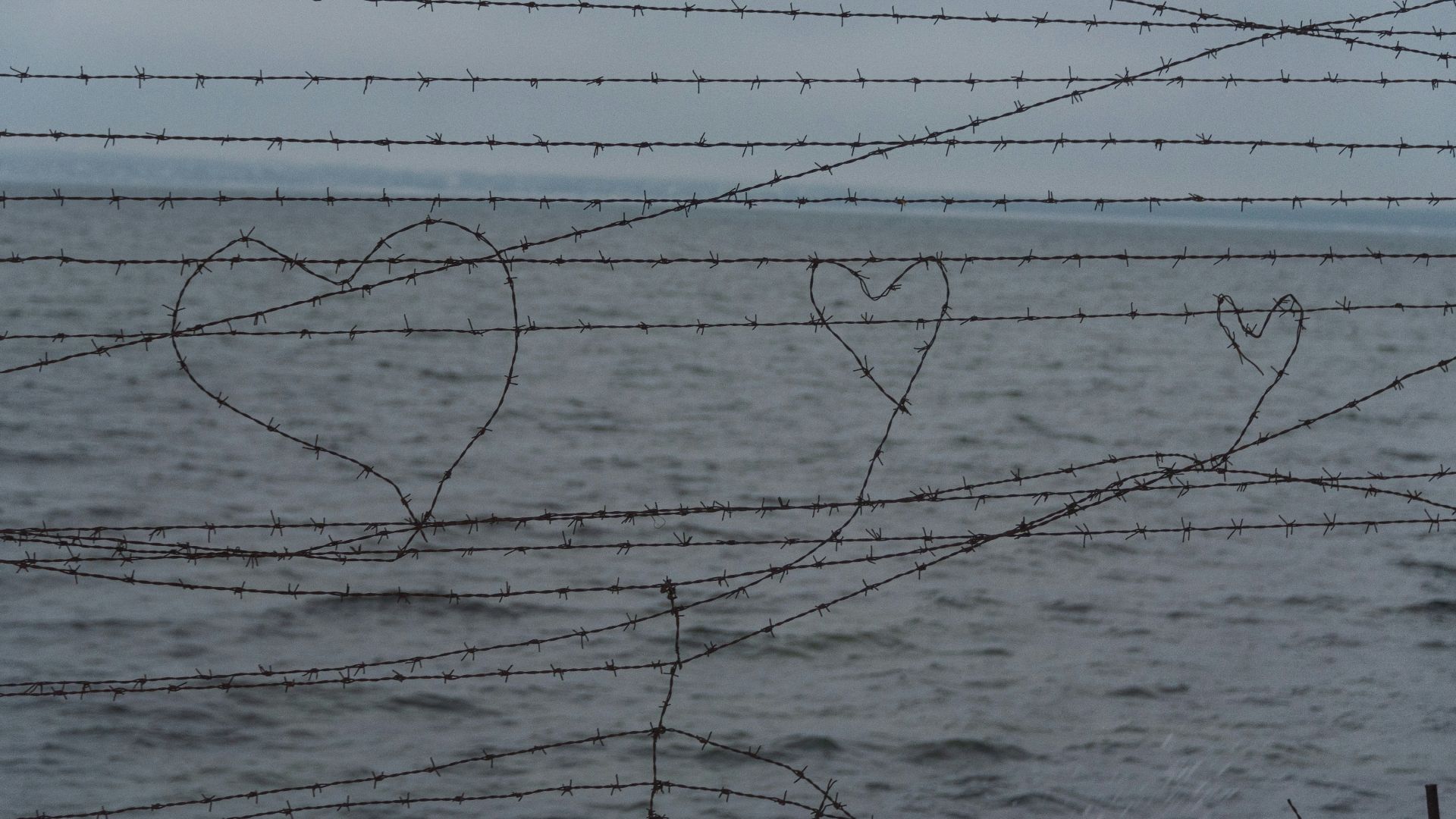 a couple of hearts drawn on a barbed wire fence