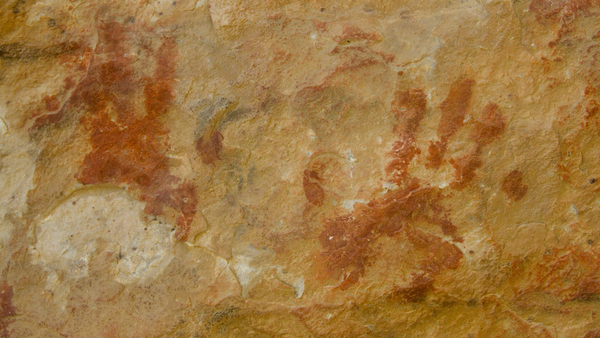 a close-up of a skin