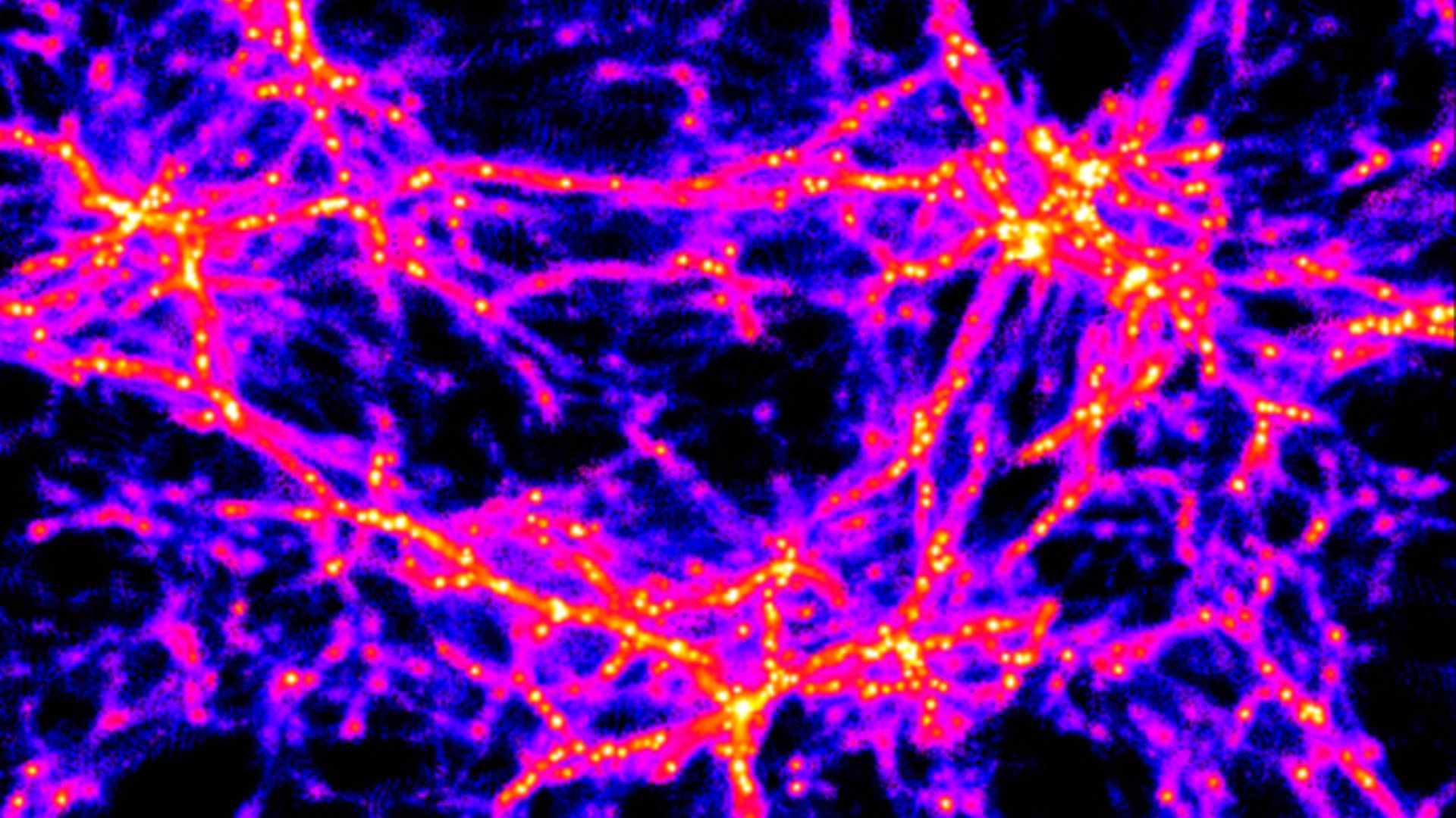 File:Web-like structures in the young universe (eso0120a).jpg