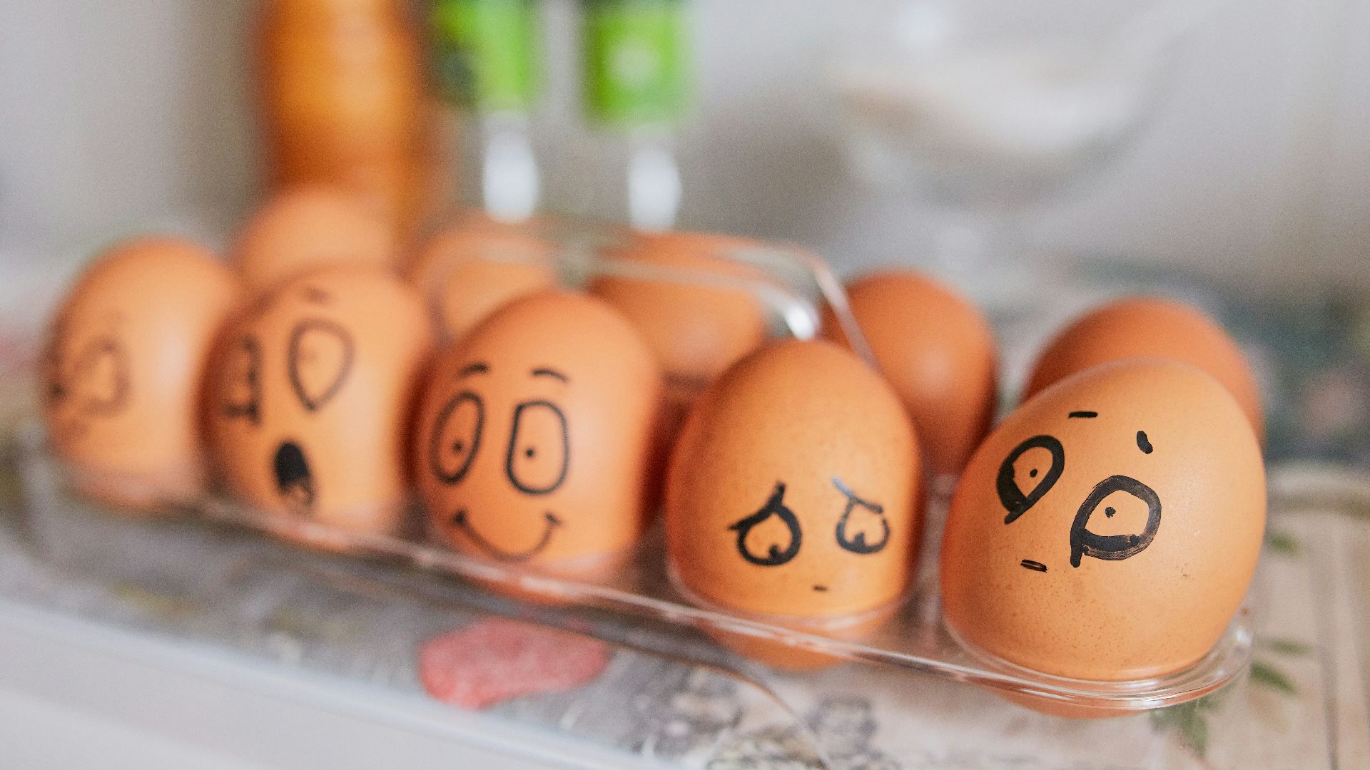 brown eggs on white tray