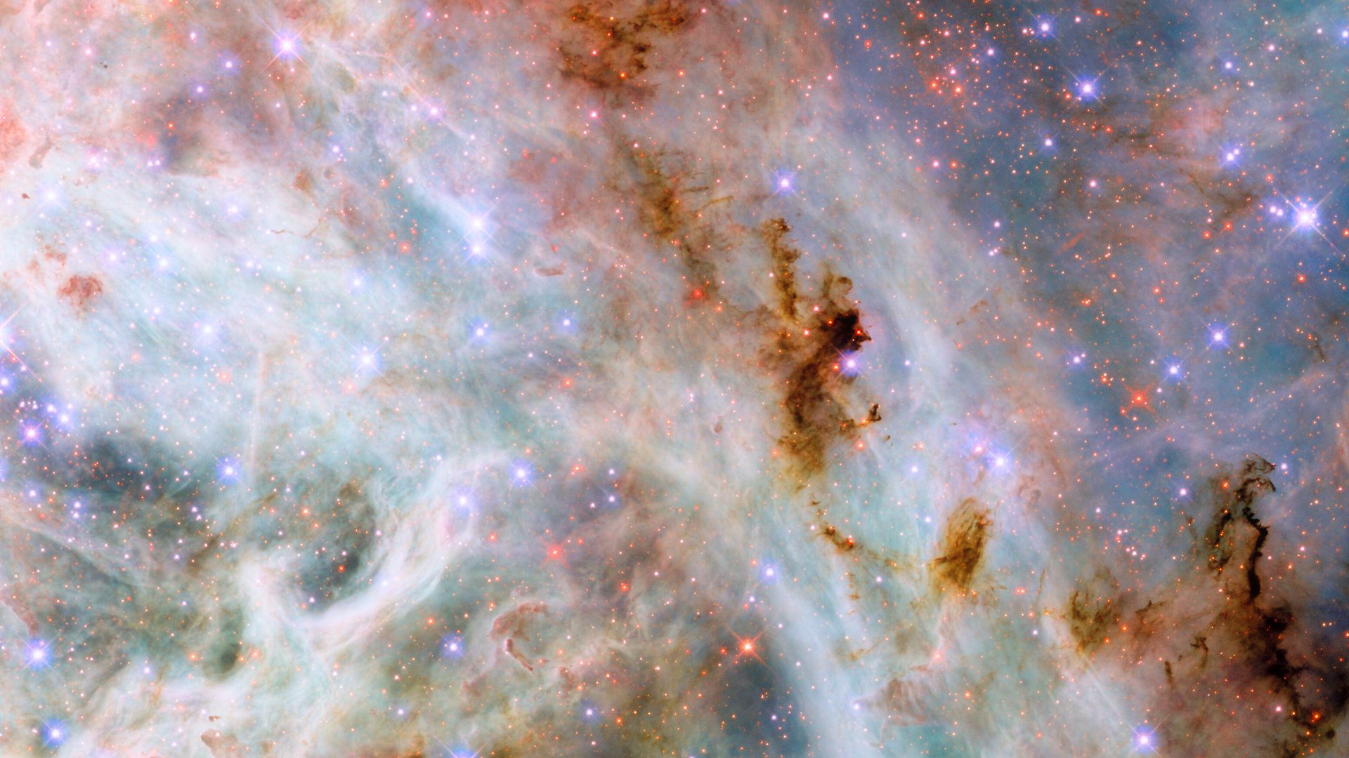 File:This NASA-ESA Hubble Space Telescope image reveals clouds of gas and dust near the Tarantula Nebula.jpg
