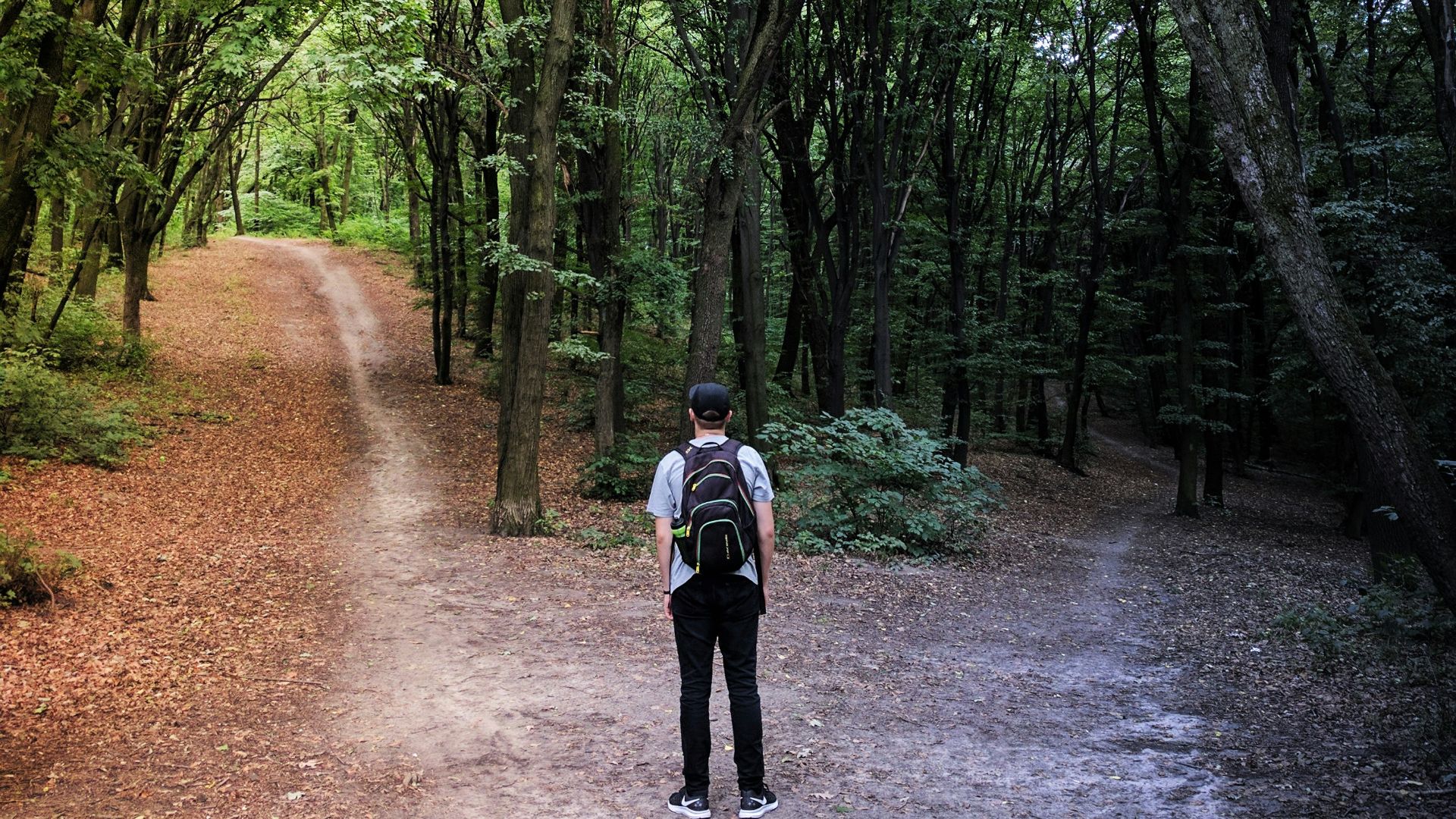 man standing in the middle of woods