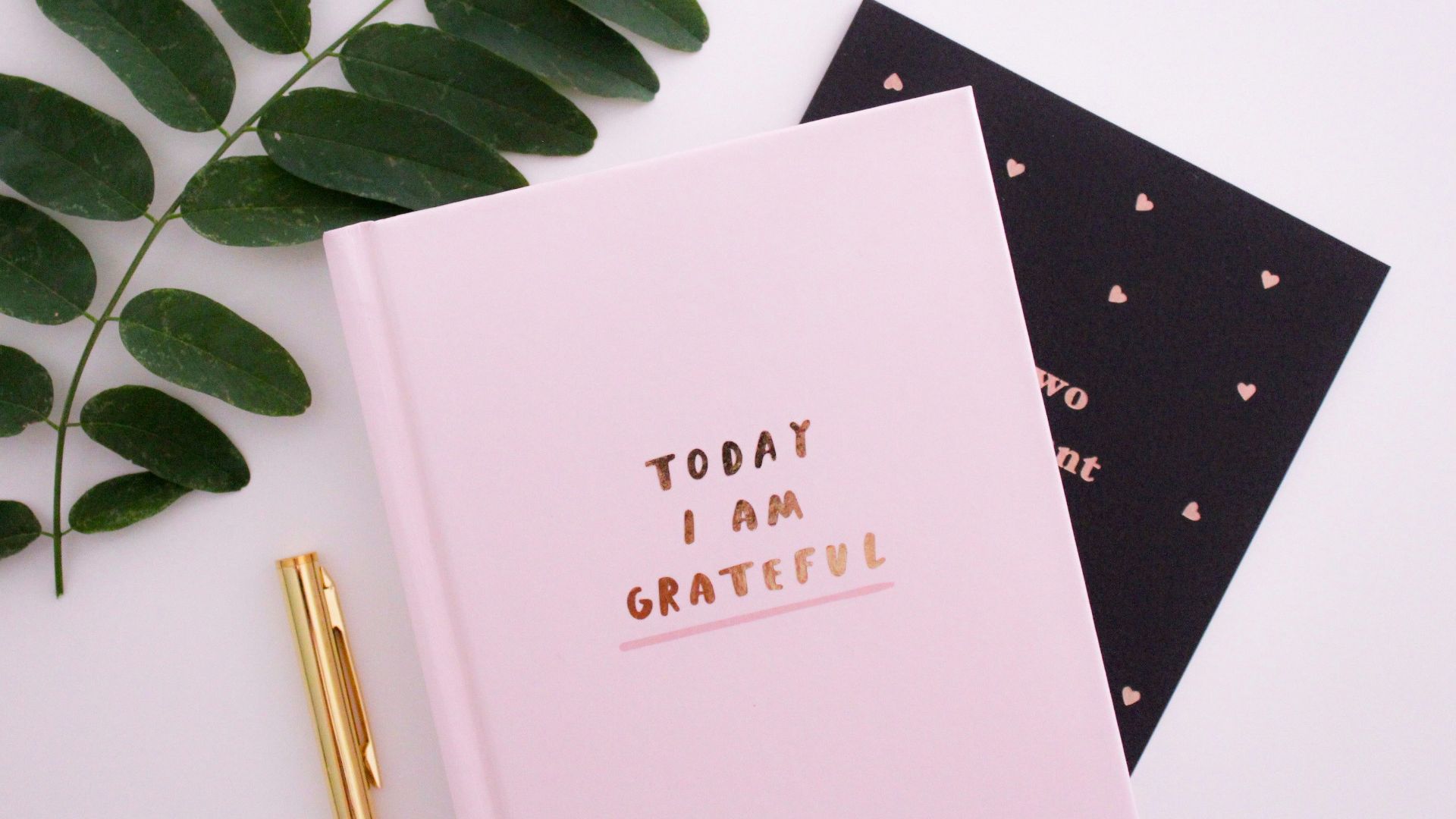 Today I am Grateful book