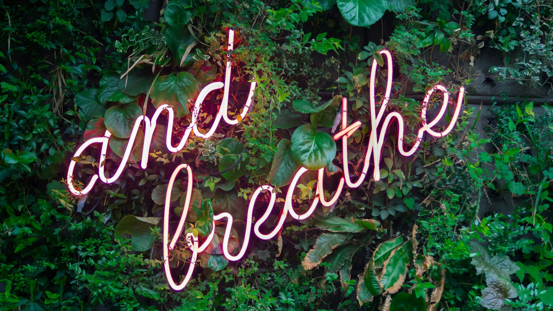 and breathe neon sign on tre