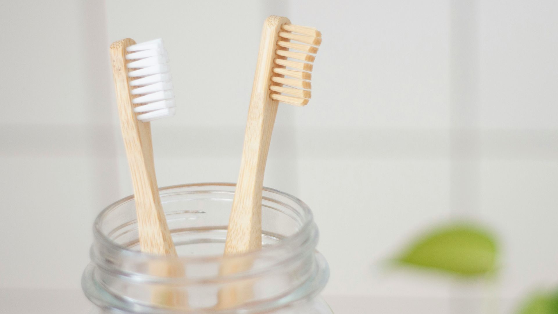 two toothbrush in mason jar