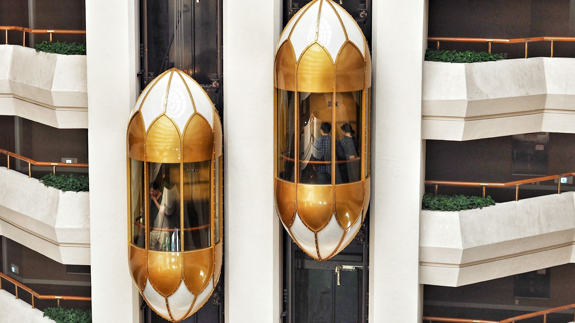 two gold capsule elevator