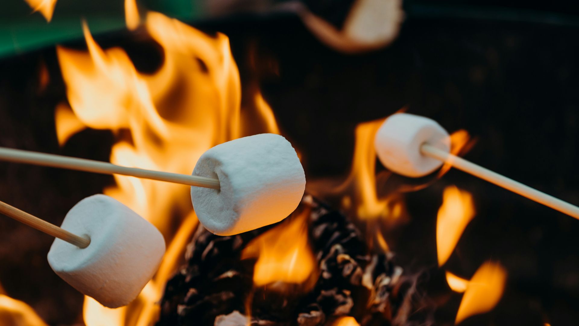 selective focus photography of marshmallows on fire pit