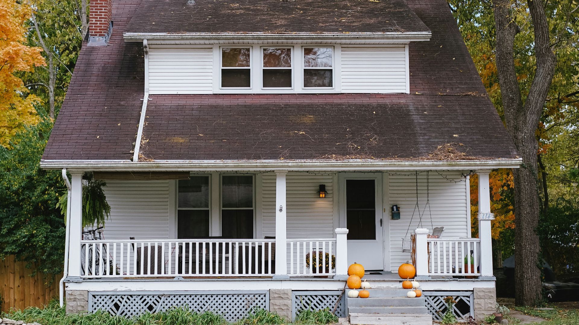 trees beside white house