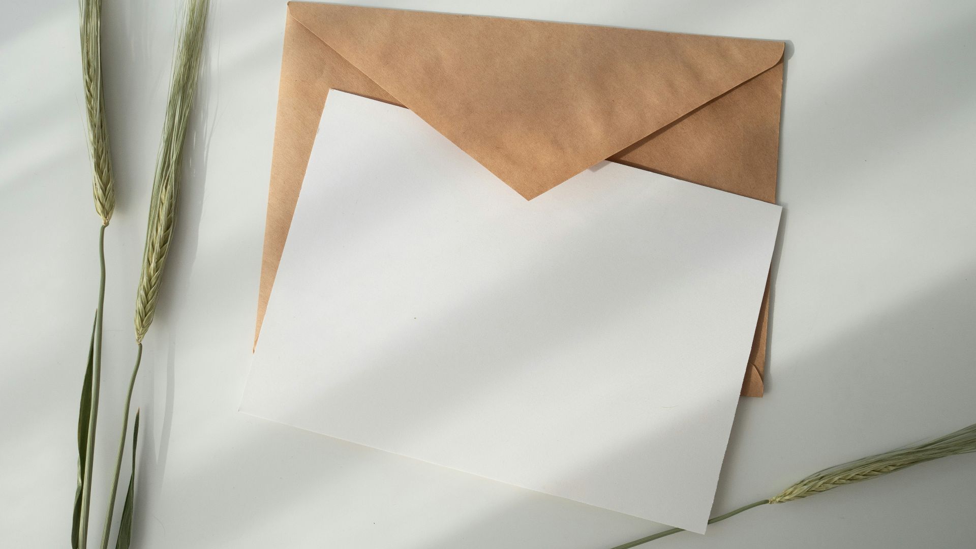 white paper and brown envelope