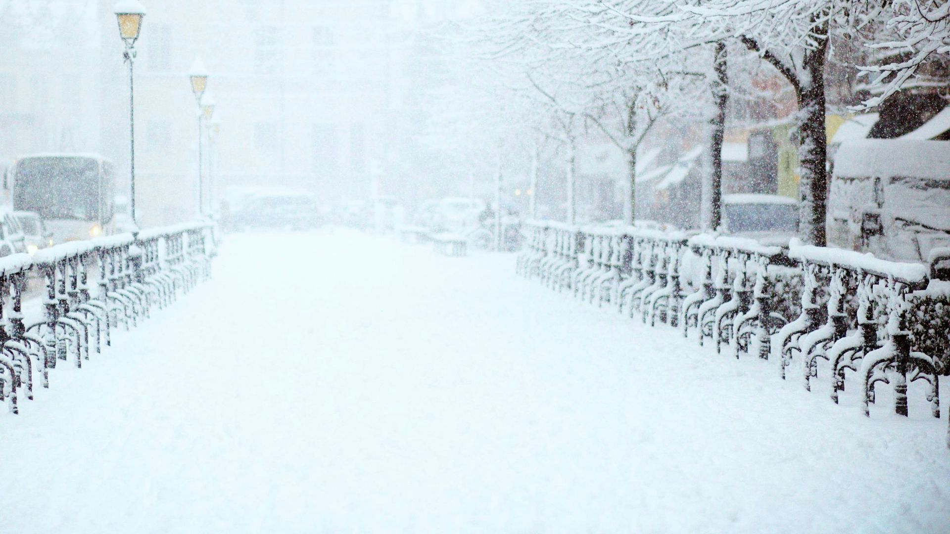 road covered by snow near vehicle traveling at daytime