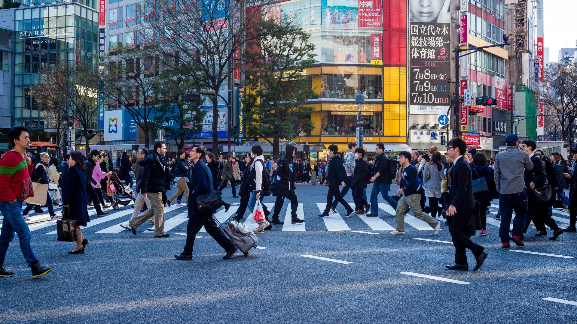 group of person on street