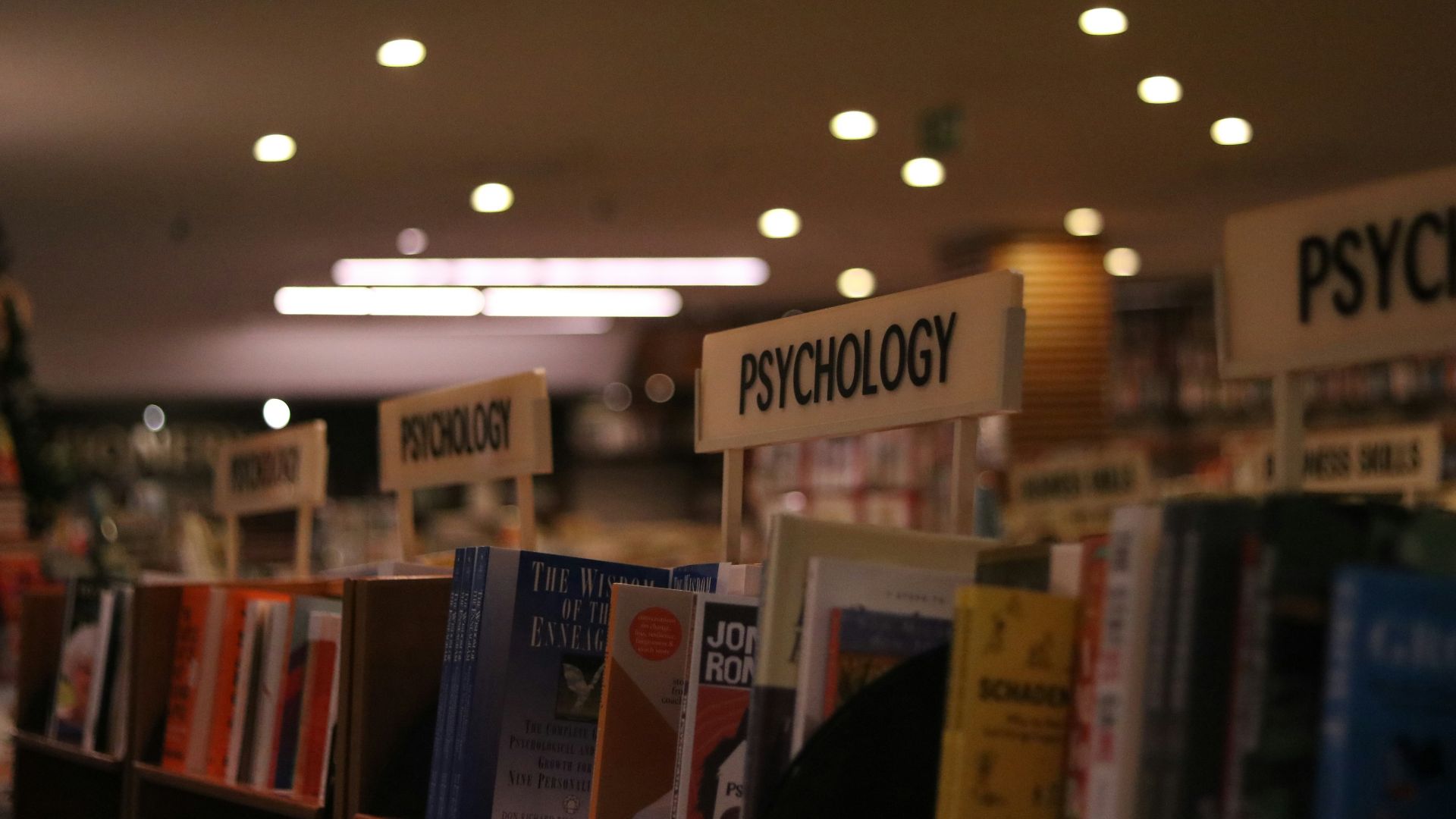 a row of books on a shelf in a library